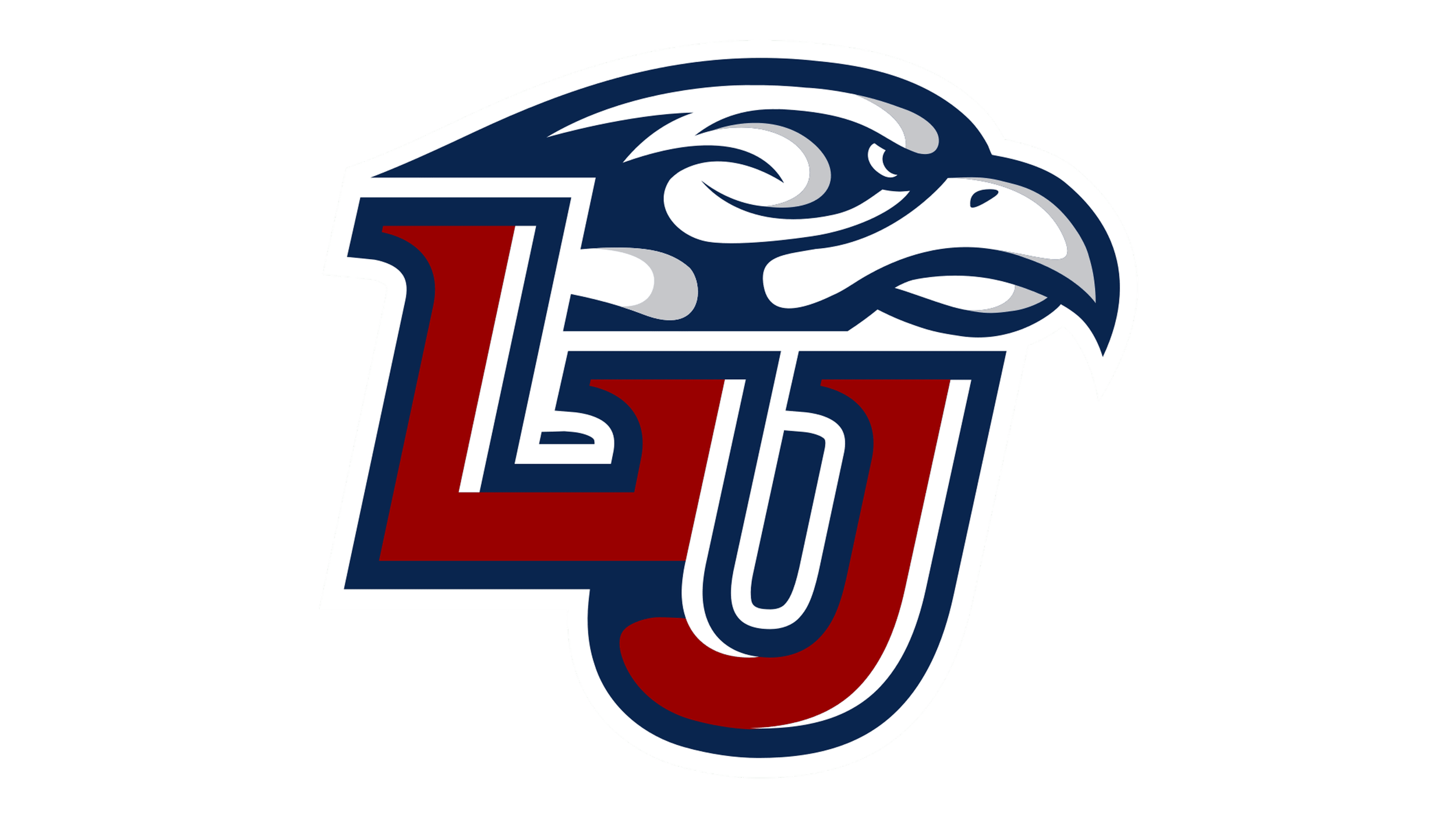 Liberty University Tutoring