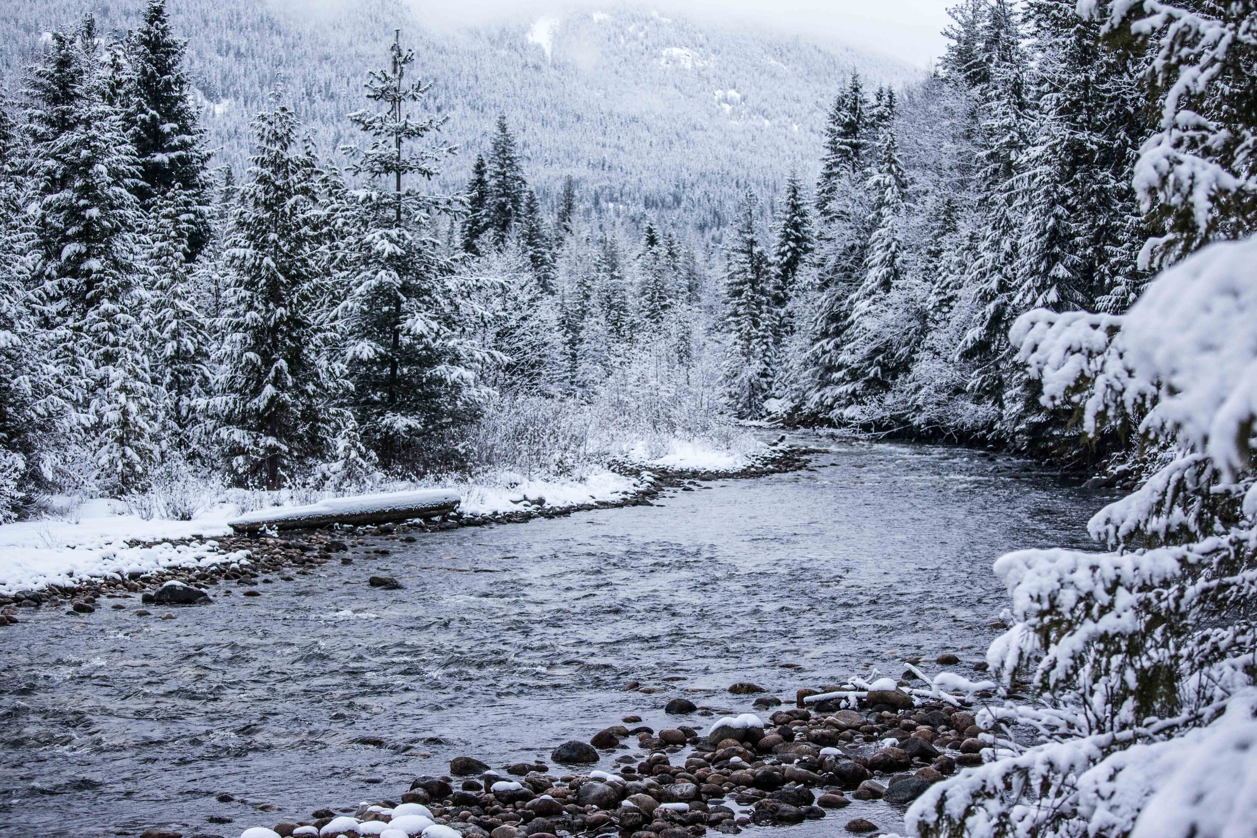kootenay mountains-4.jpg