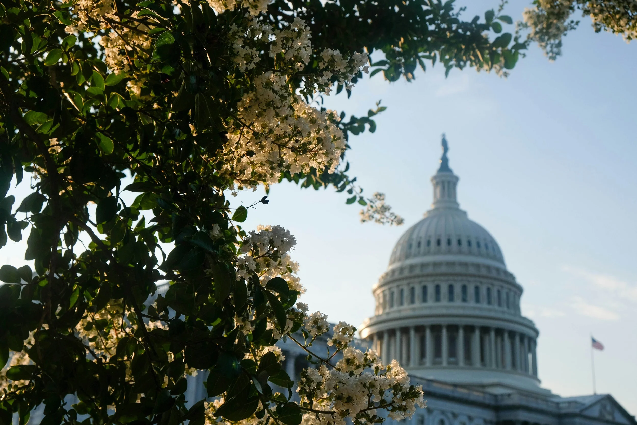 James Madison and the Emergency Powers of the Legislature