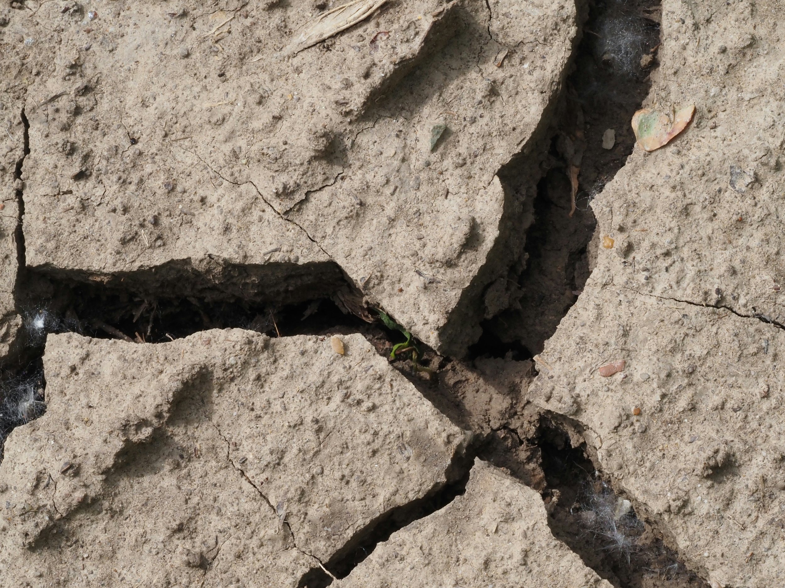 Venezuela Declares Nationwide State of Emergency Following Devastating Earthquakes