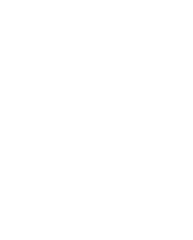 INSTITUTE FOR THE STUDY OF STATES OF EXCEPTION