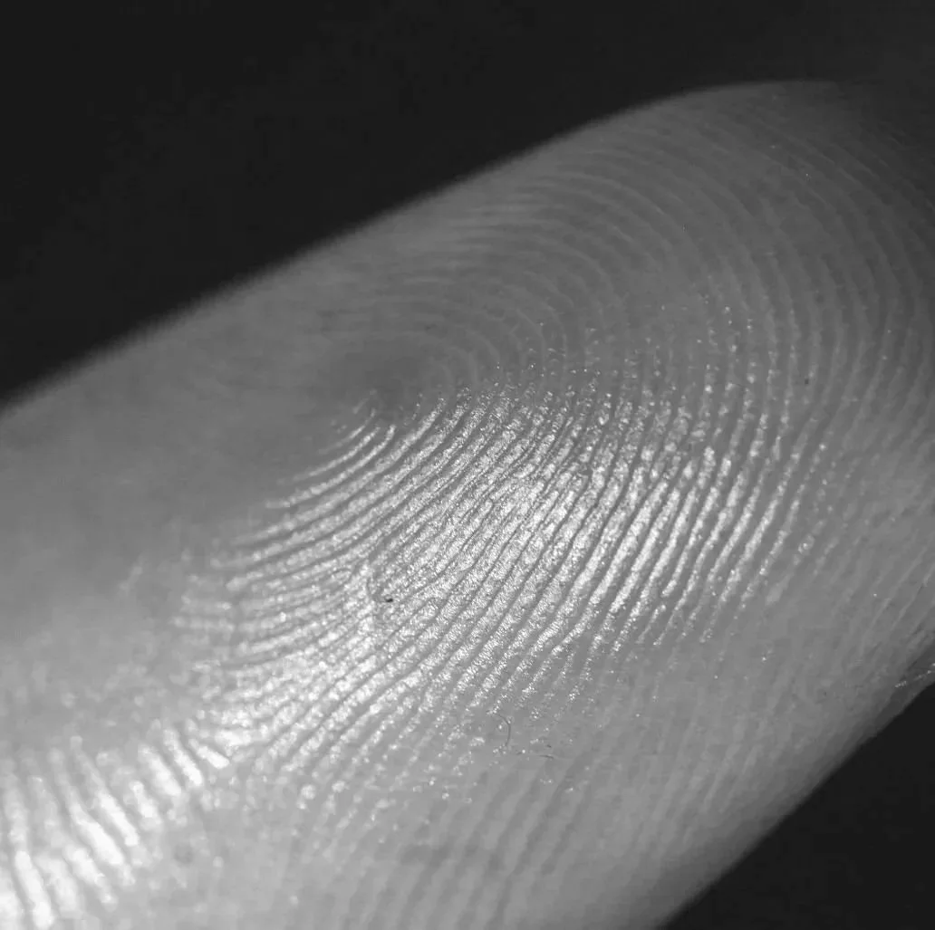 Screenshot 2025-04-26 at 11.58.41 AM.jpg