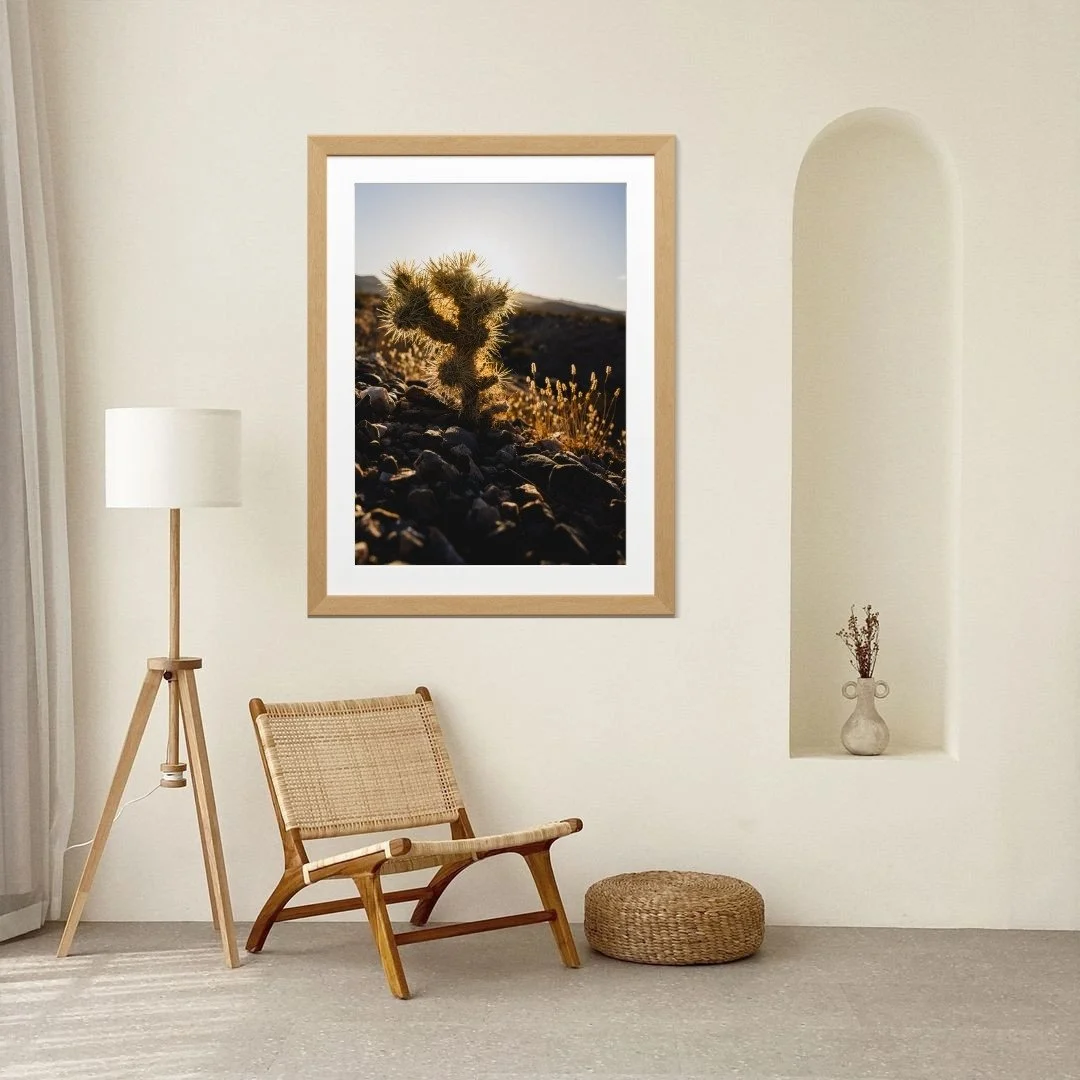 3_DEATH VALLEY_CANVA_13.jpg