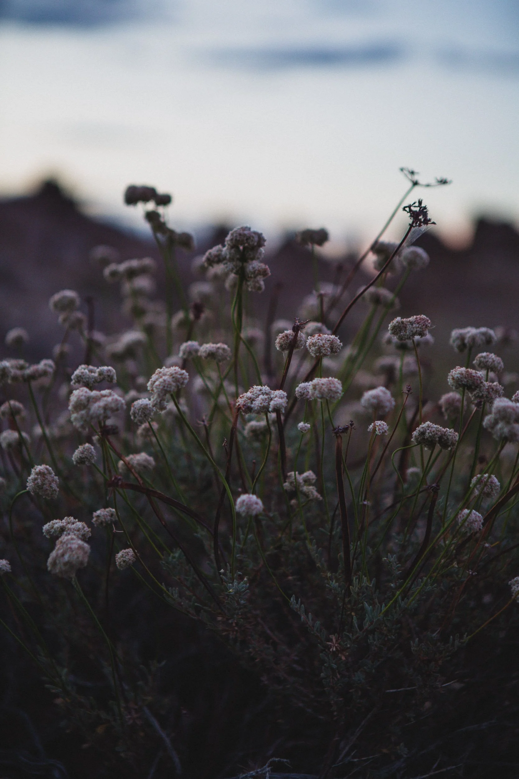 Magic Hour