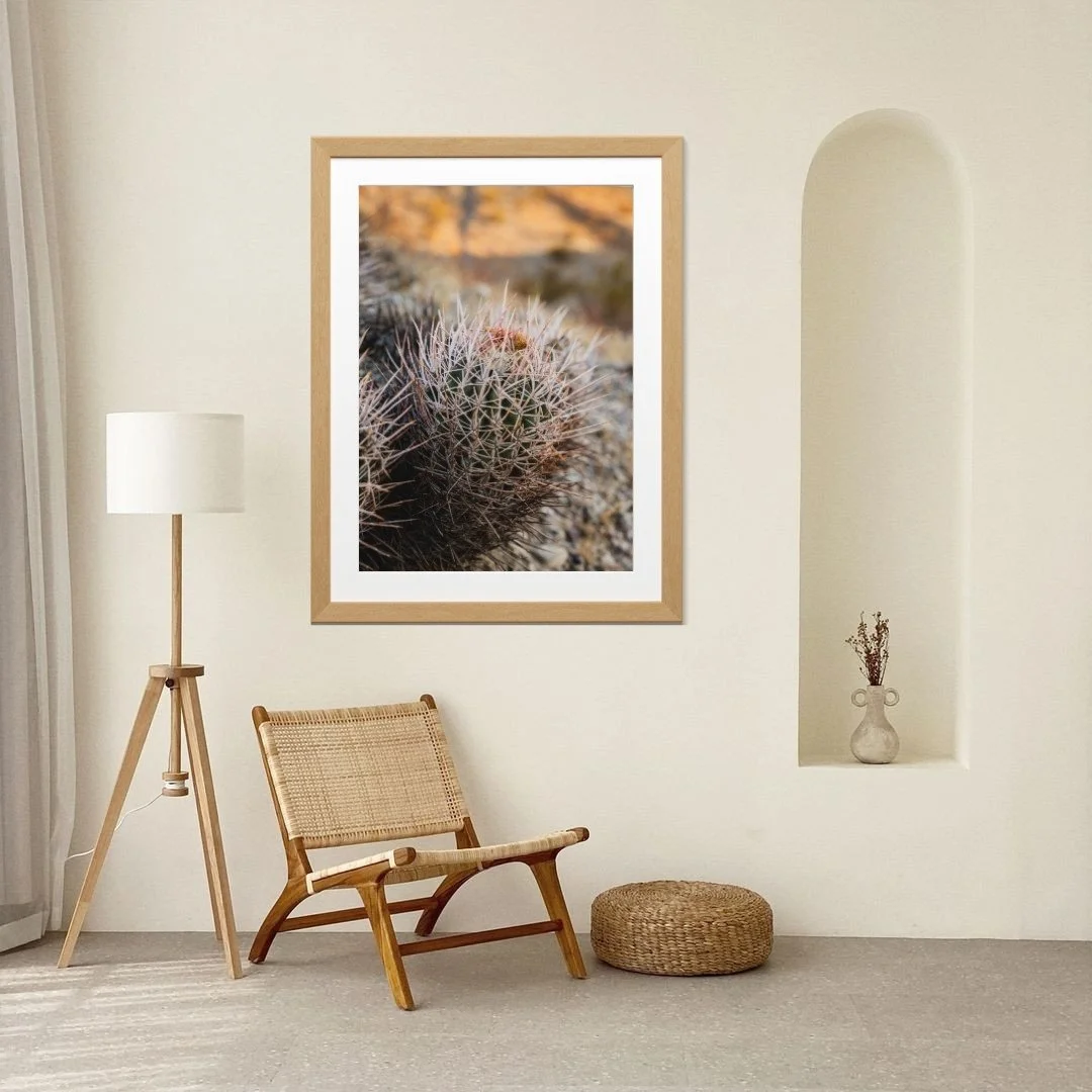 1_DEATH VALLEY_CANVA_12.jpg