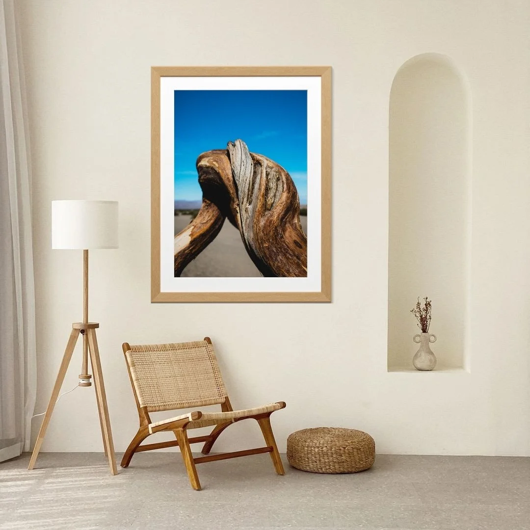 5_DEATH VALLEY_CANVA_7.jpg