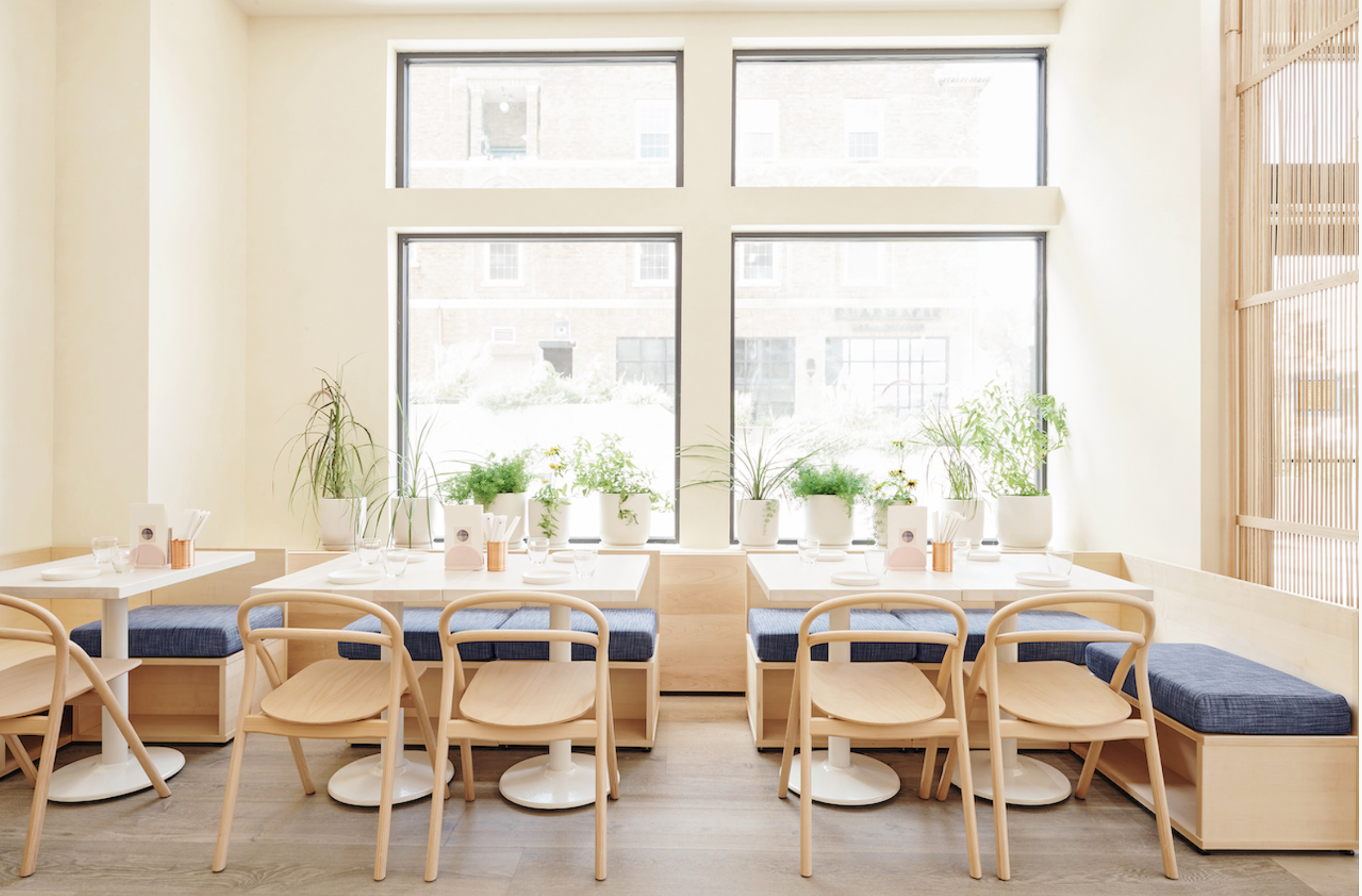 Screenshot 2024-12-19 at 7.16.05 PM.png