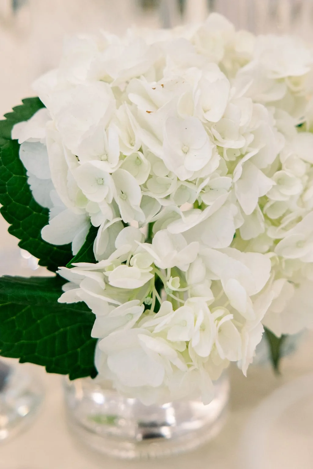 a&swedding495.jpg