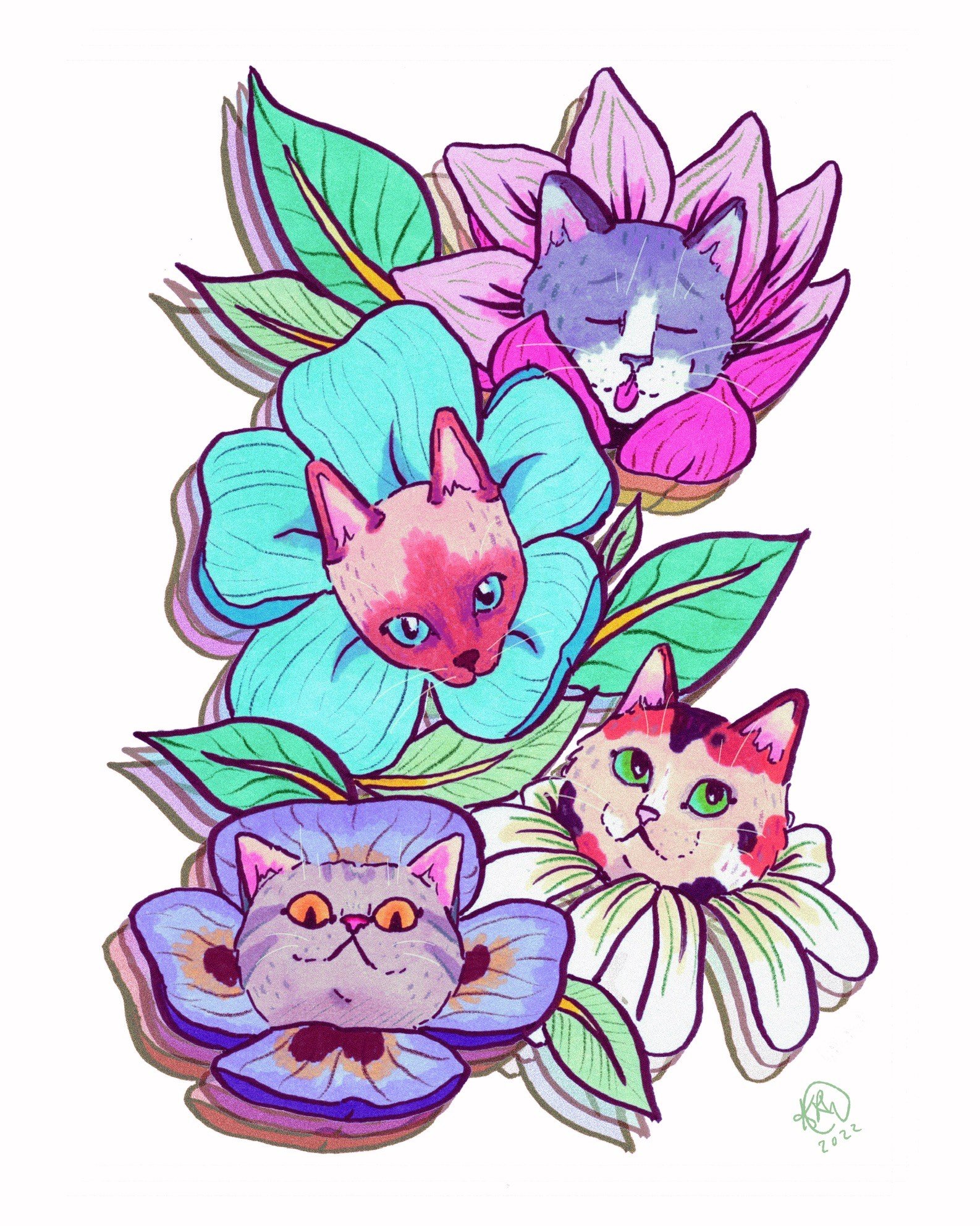 02-22_Colorful_Cats__09348.jpg