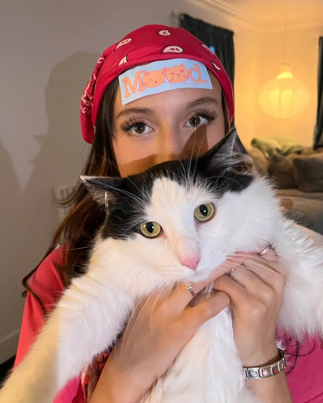 Big mood this Monday 🐱💓

If you have photos of your cats with our stickers, please send them our way! We&rsquo;d love to feature your furry friends with our stickers on our page. 

#catstickers #catlover #catparent