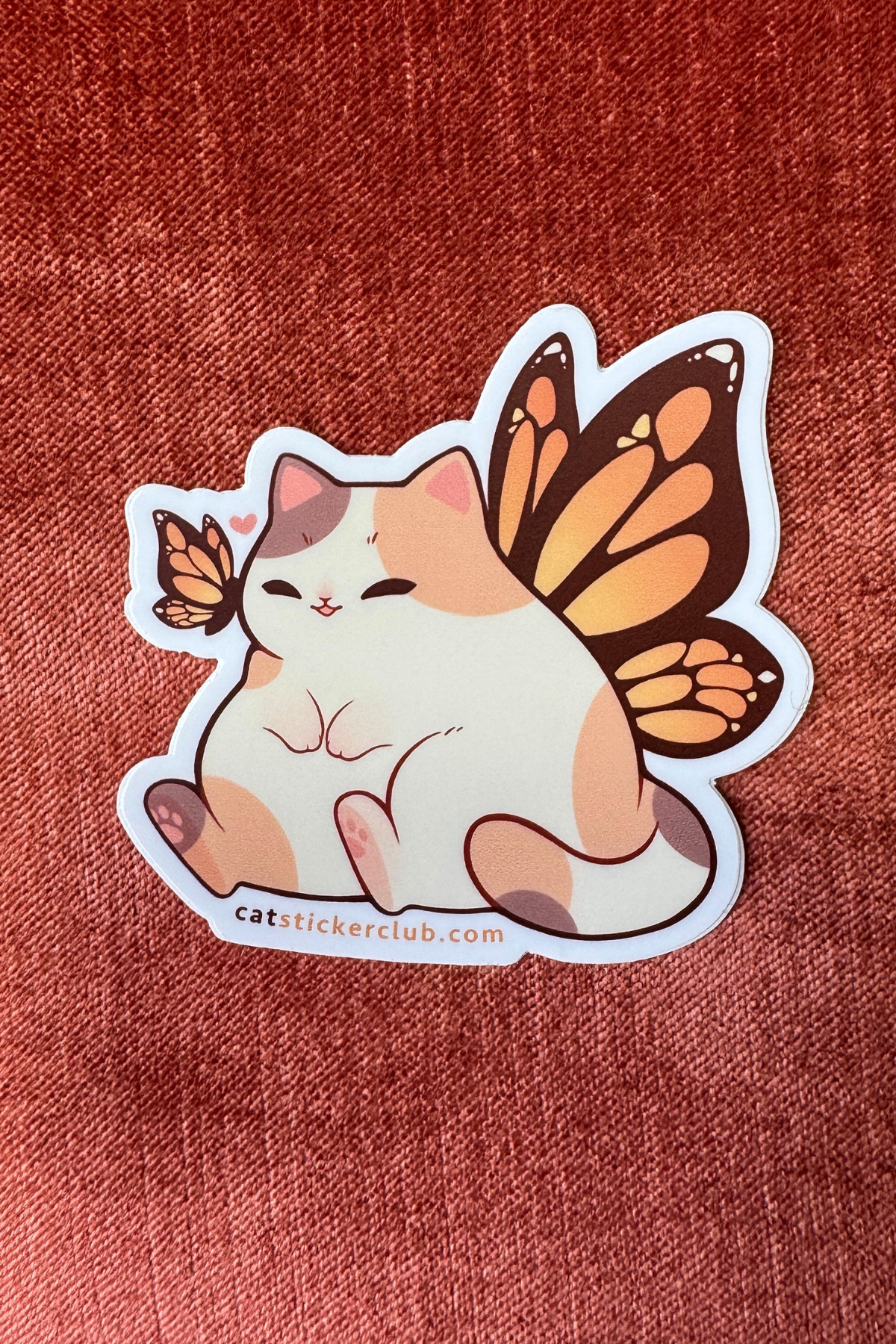 CALICO FAIRY CAT