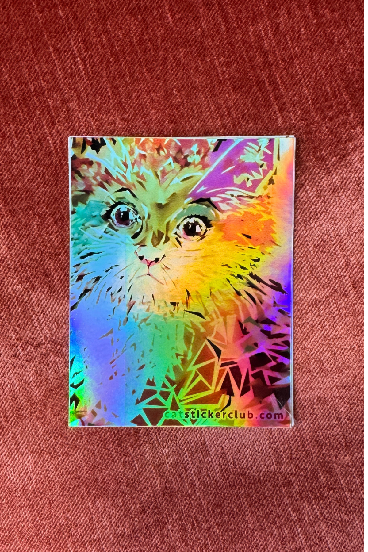 HOLOGRAPHIC WHISKER CAT