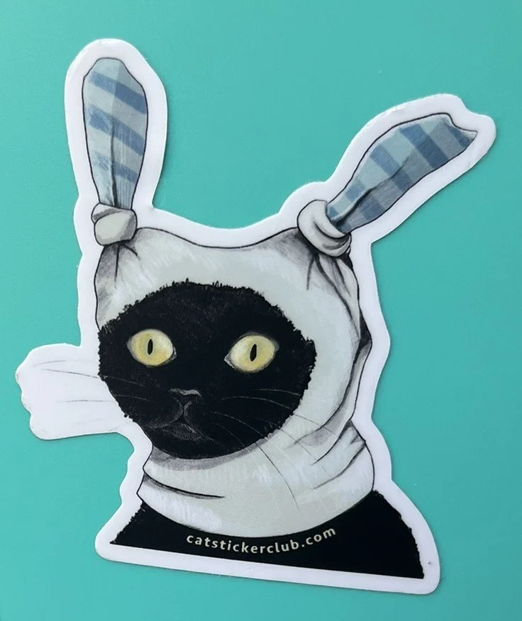 MEME CAT