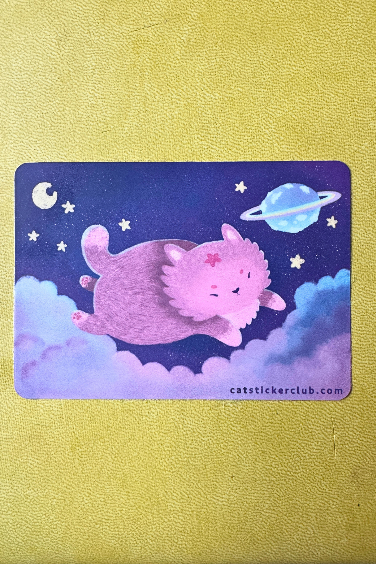 SPACE CAT