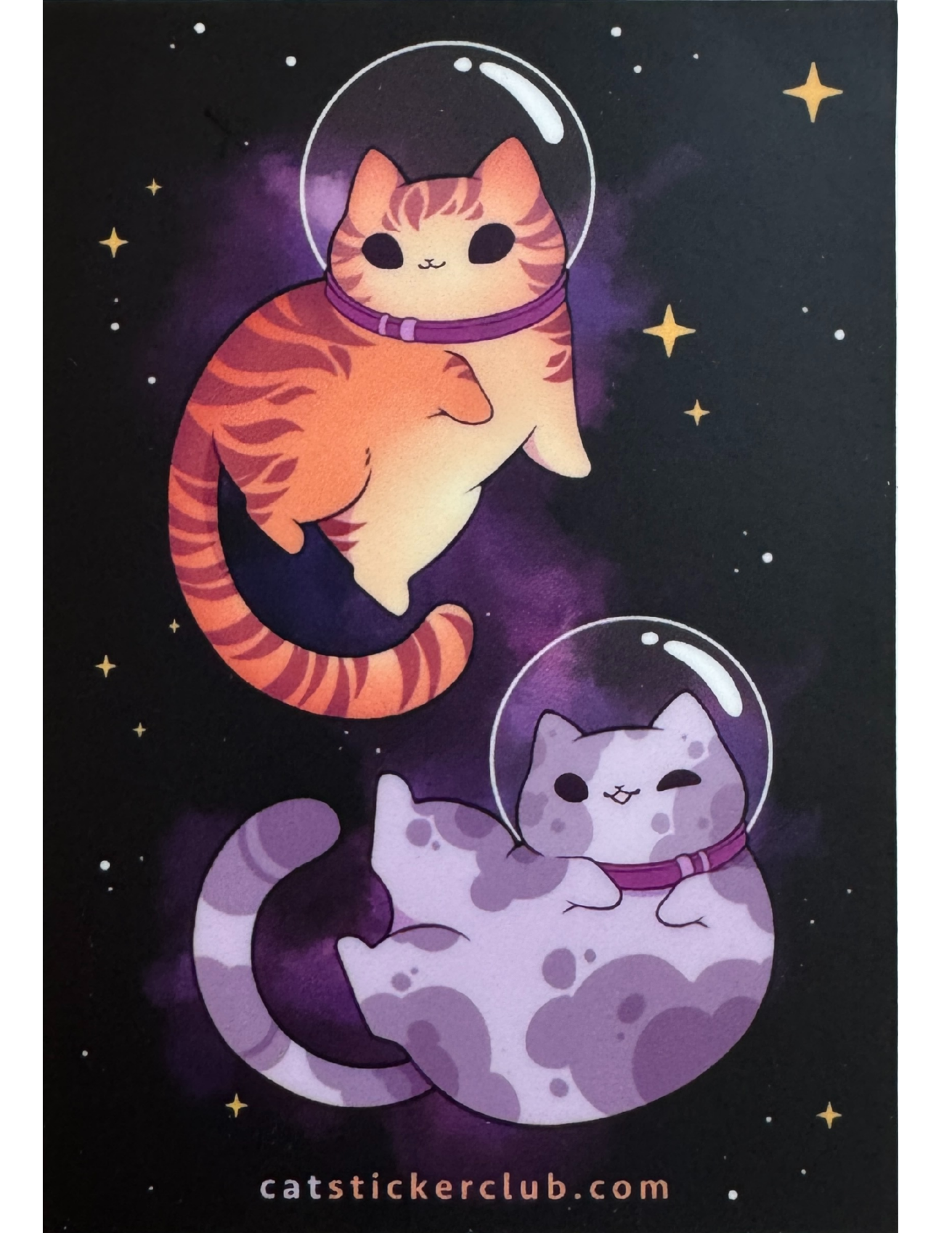 Catsinspace_catstickerclub.png