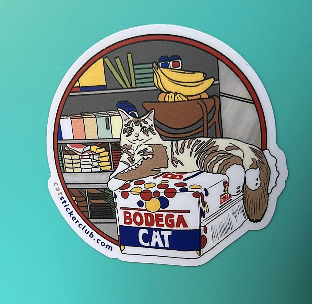 BODEGA CAT