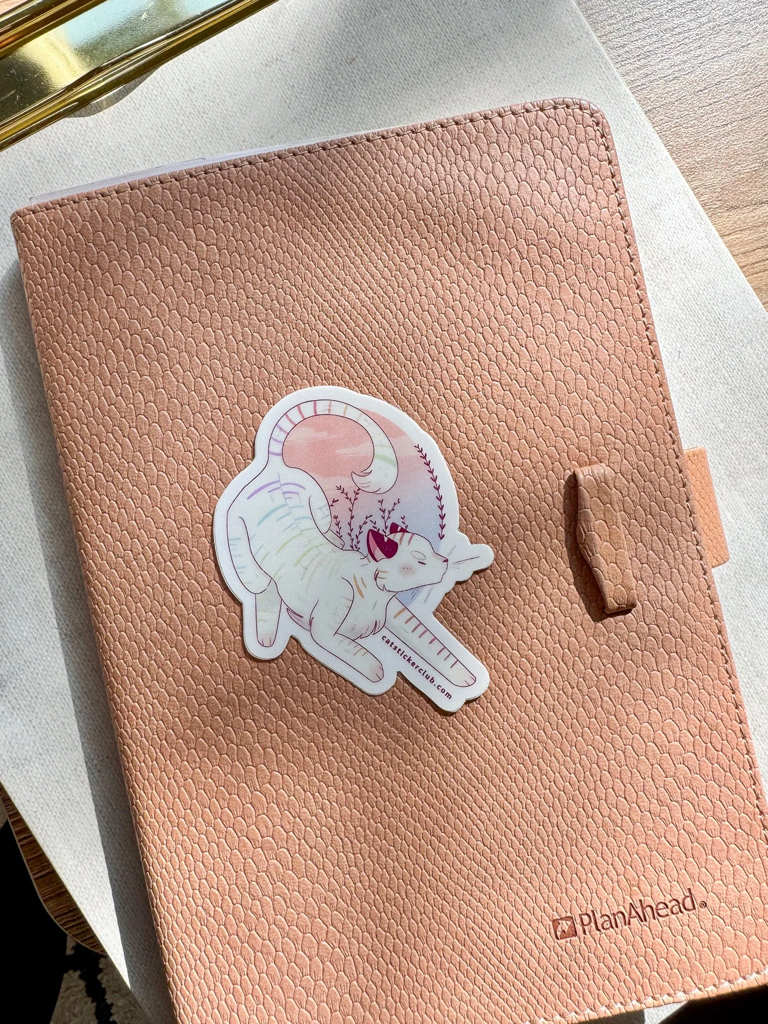 PRIDE CAT STICKER