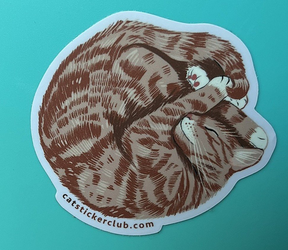 SLEEPING CAT