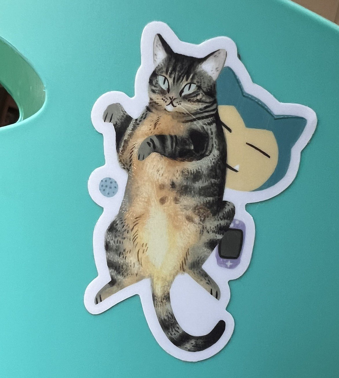 POKEMON CAT