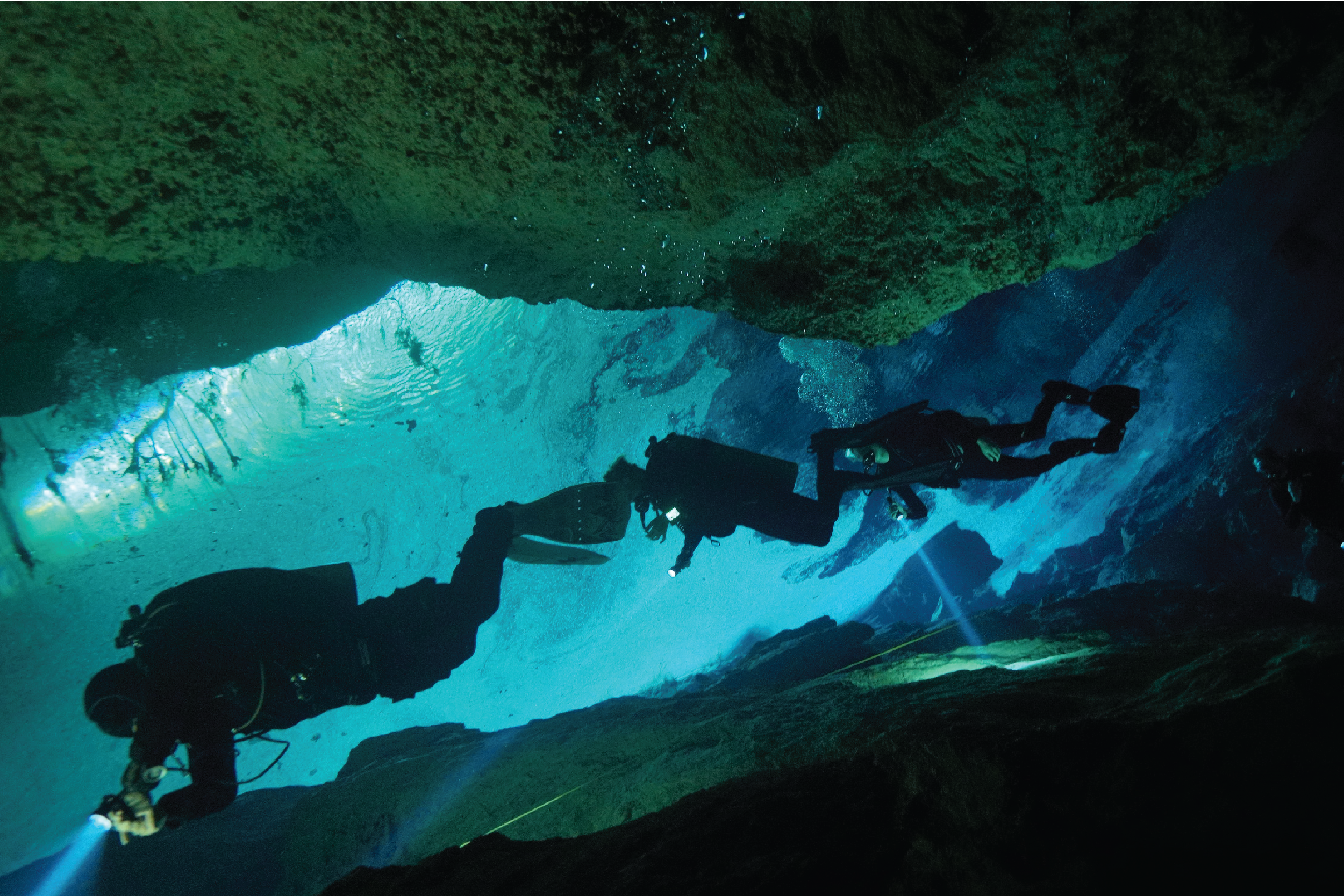 World Oceans Day: Diving Beyond Your Personal Boundaries