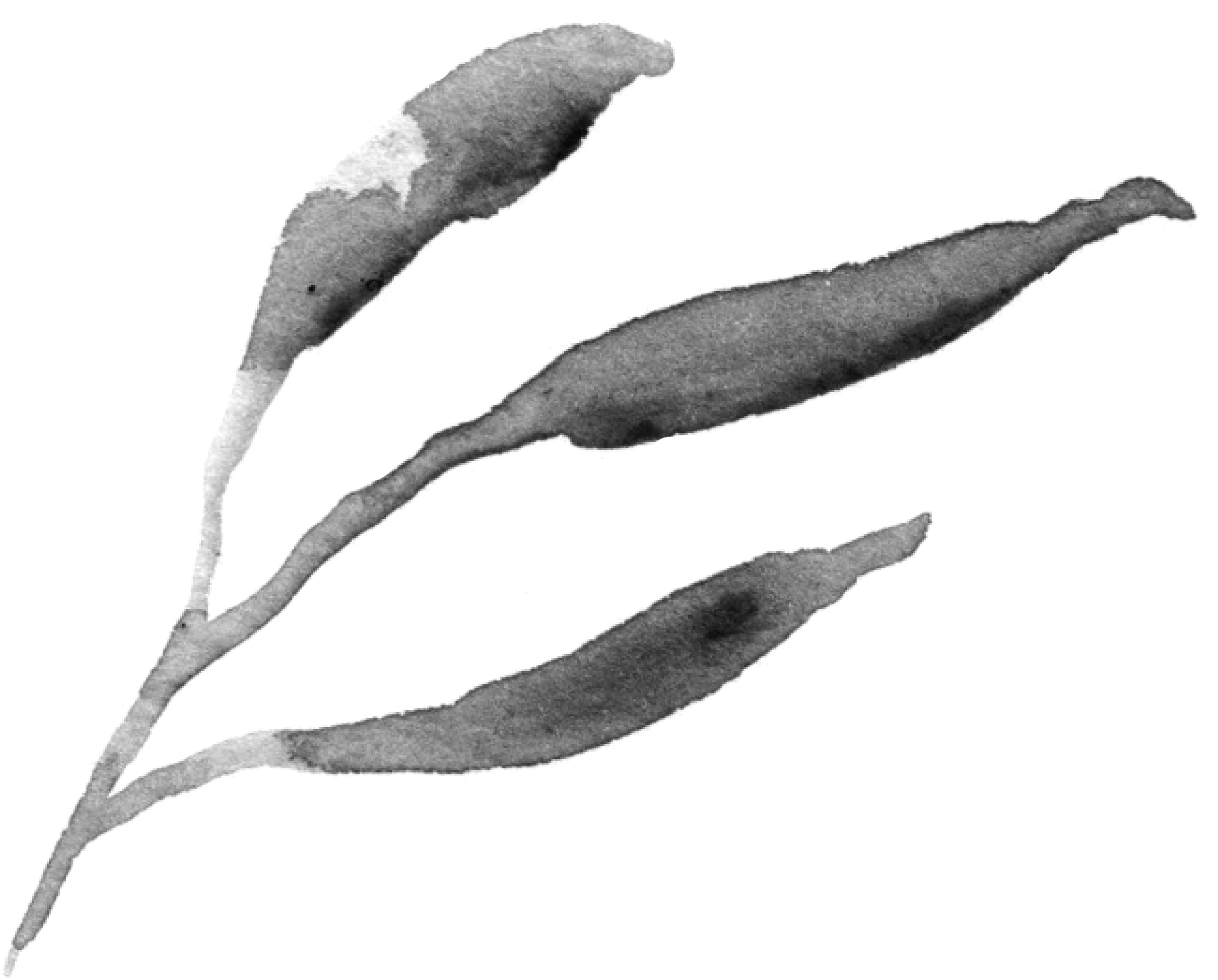 A black and white illustration of a person's hand holding a pen and writing on a piece of paper.