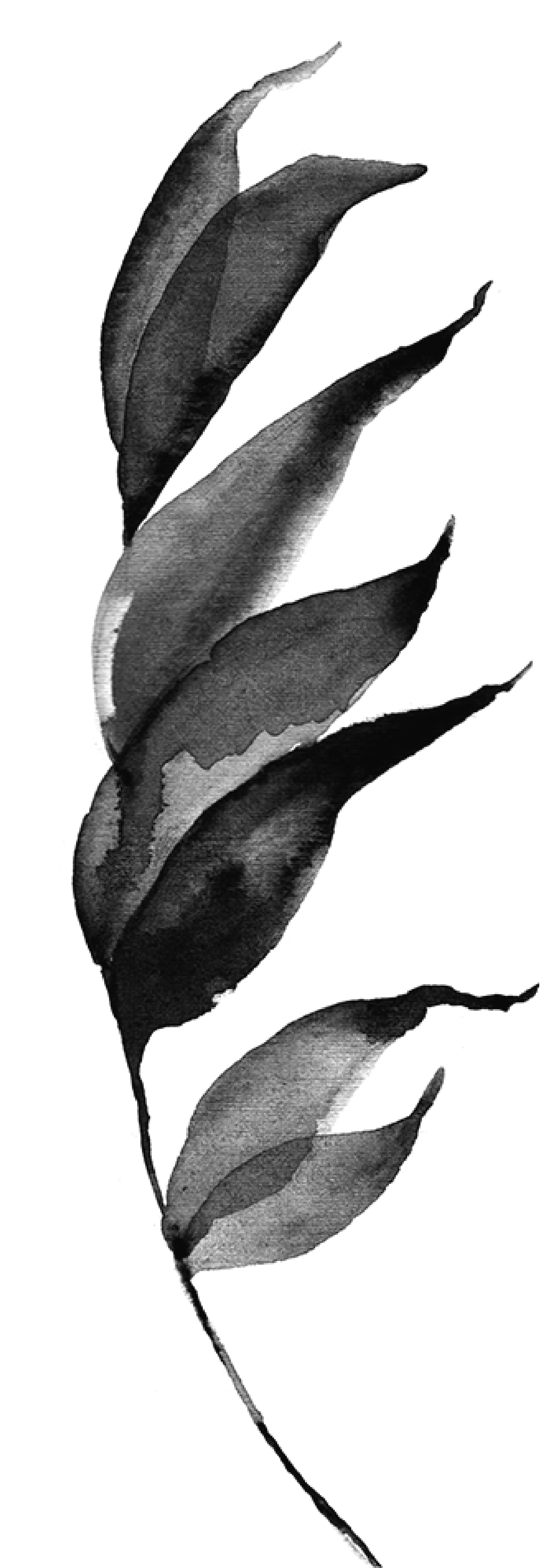 A vertical row of six black musical notes on a white background.