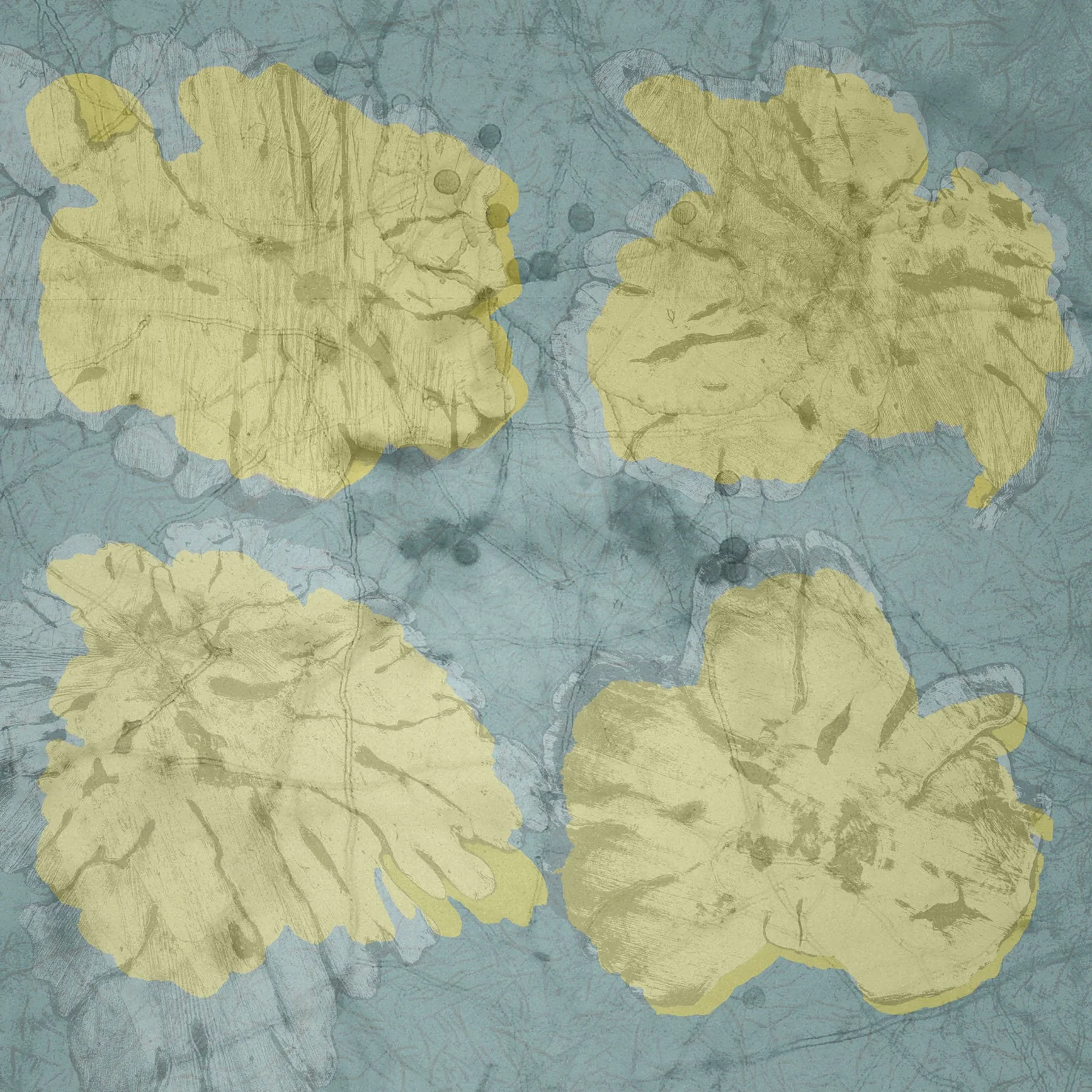 Terra Infecta #5(Photo).jpg