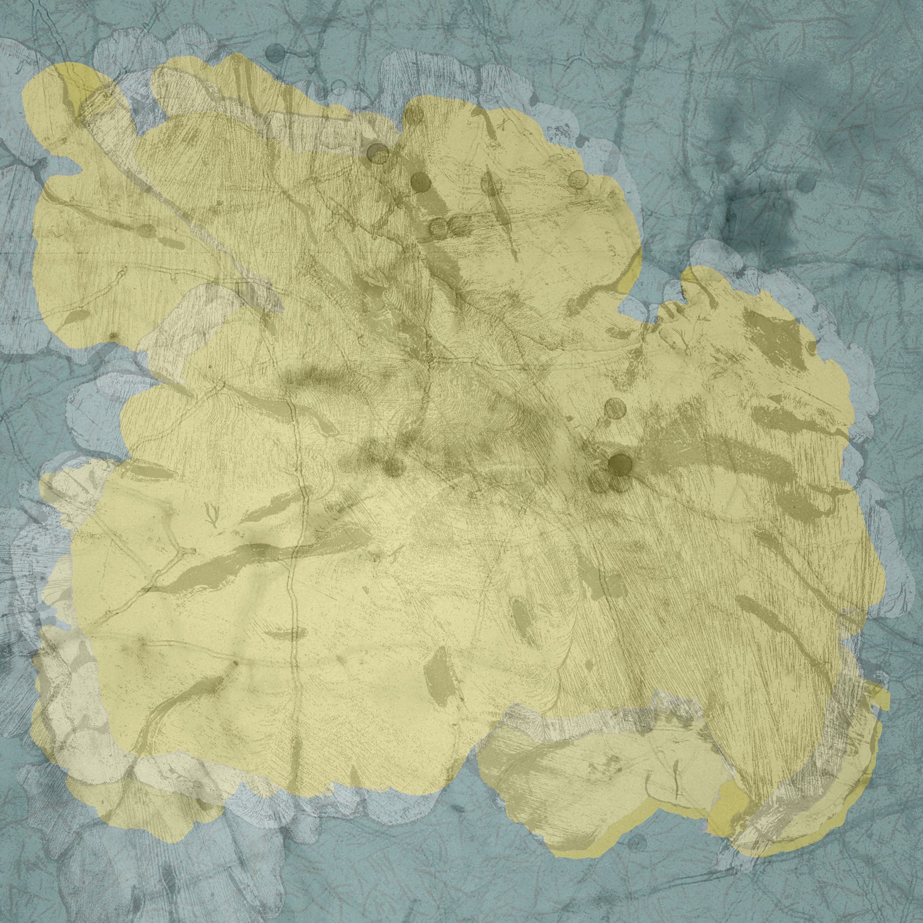 Terra Infecta #6(Photo).jpg