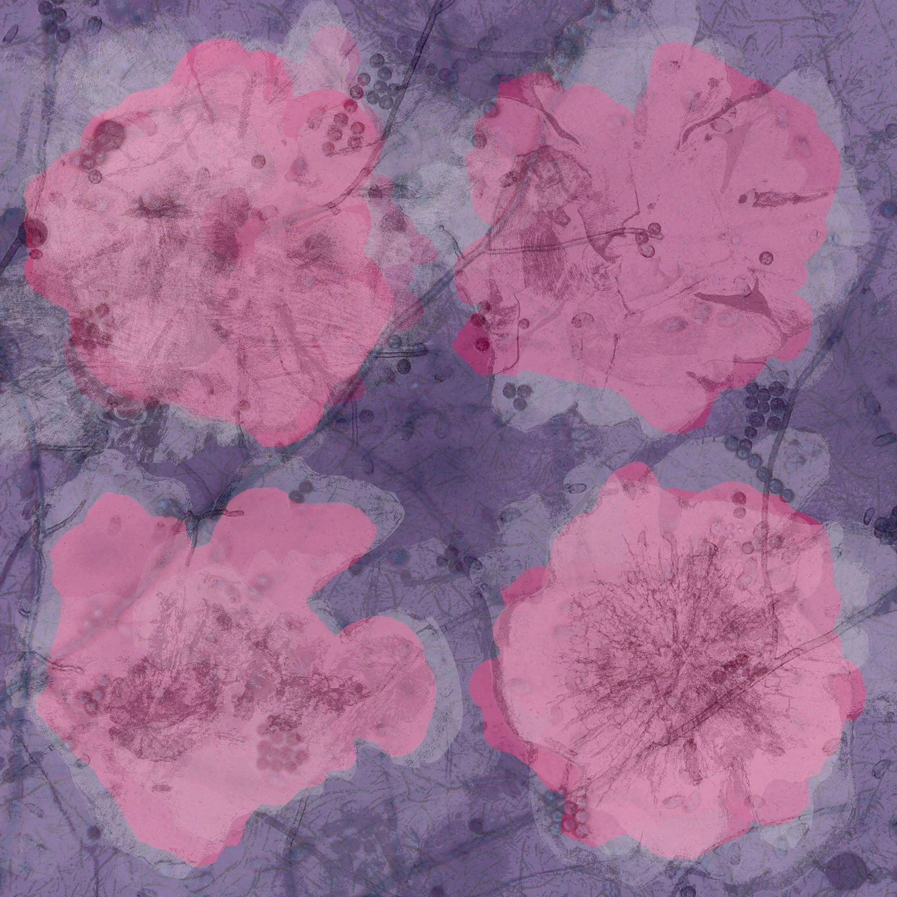 Terra Infecta #2 (Photo).jpg