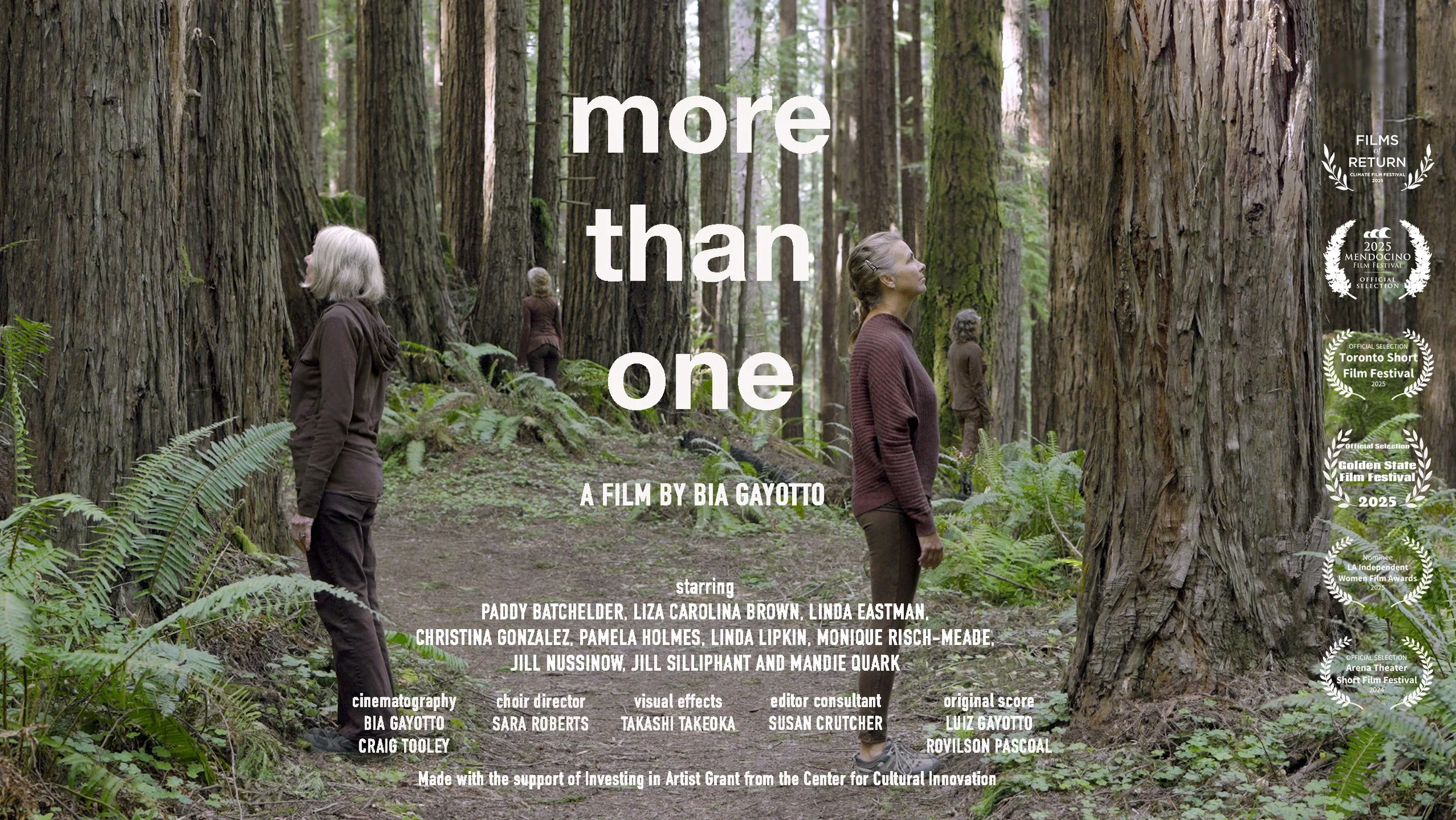More Than One (poster) copy.jpg