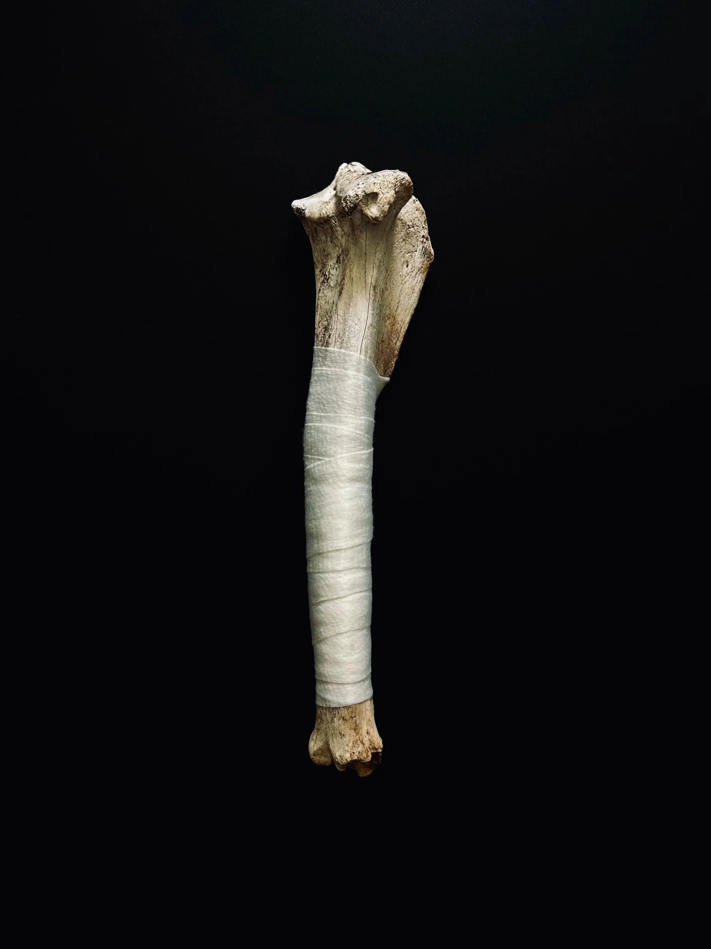 bones 3