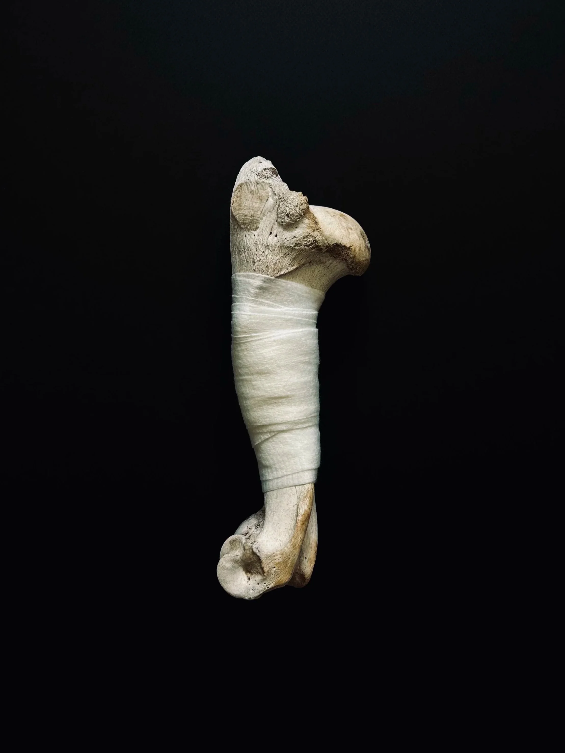 bones 2