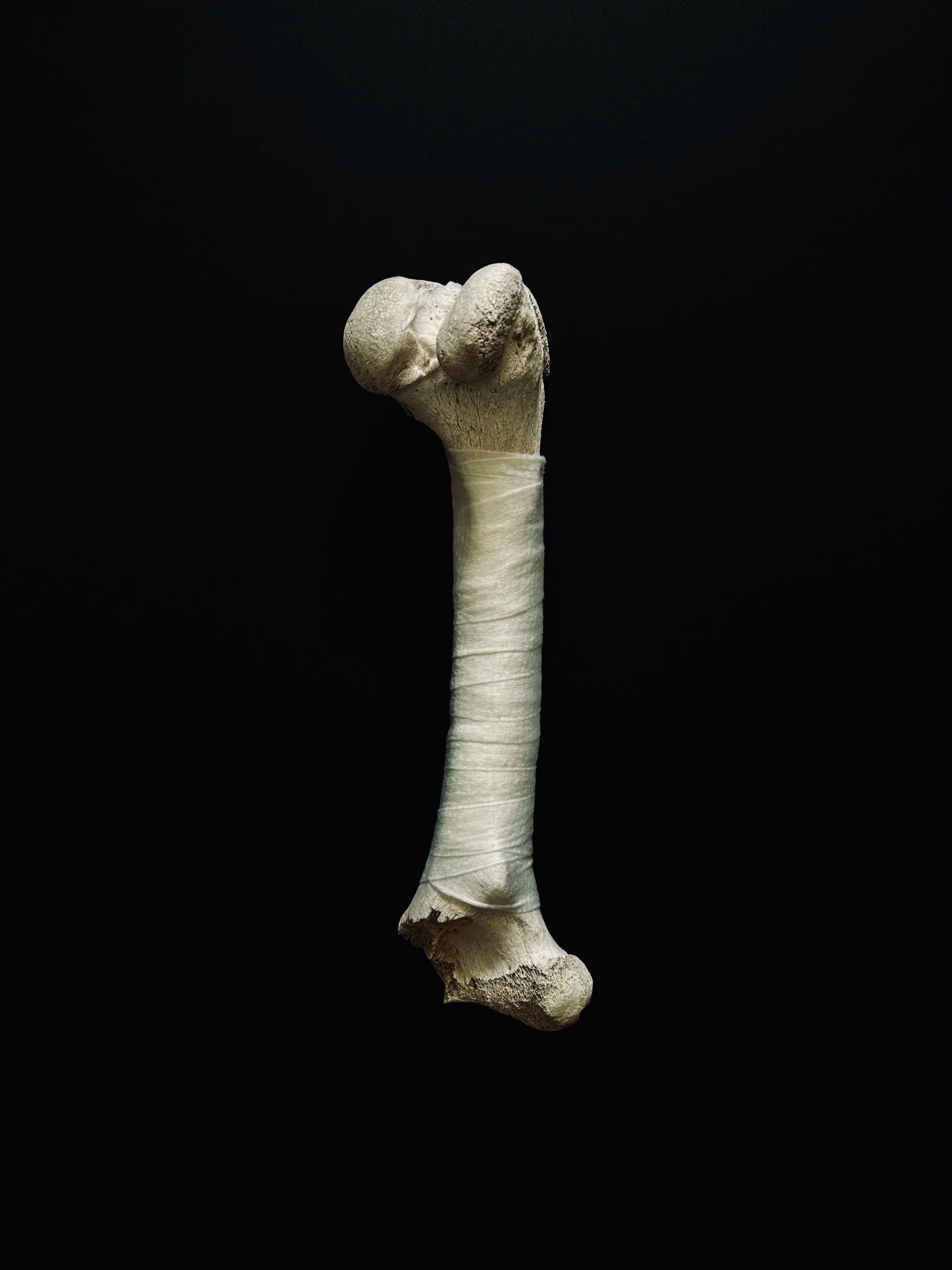 bones 1