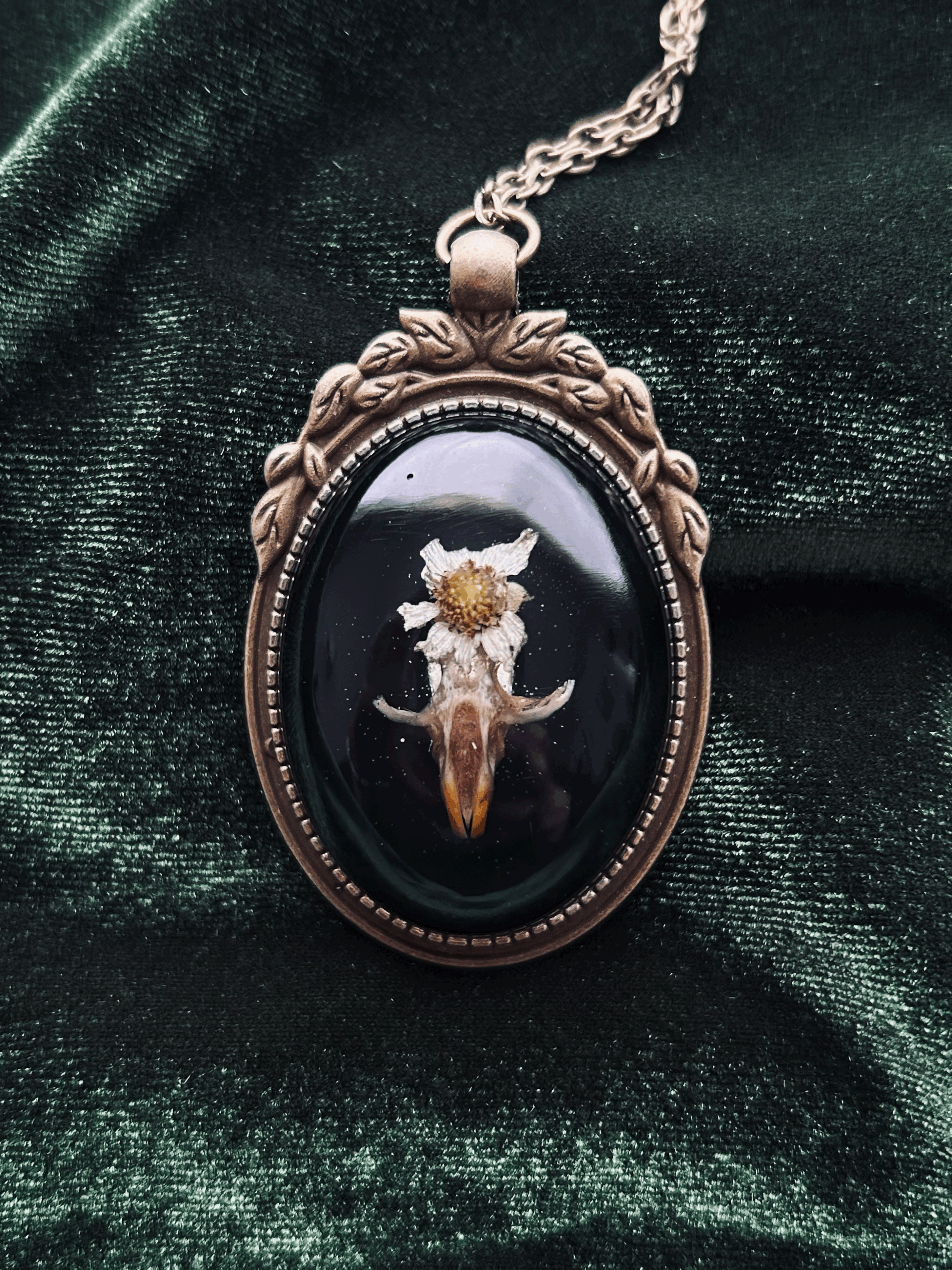 daisy skull