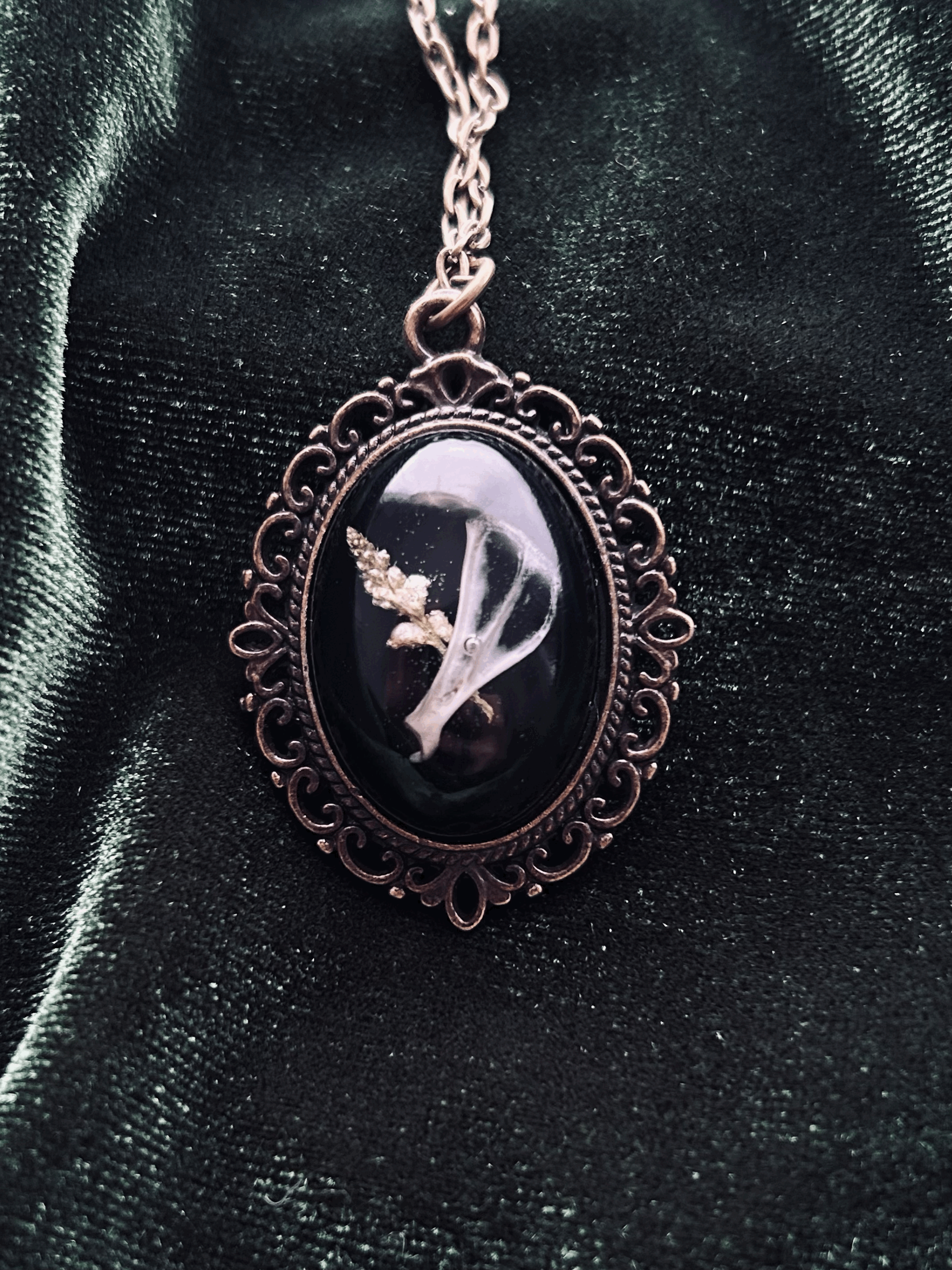 scapula and milkwort