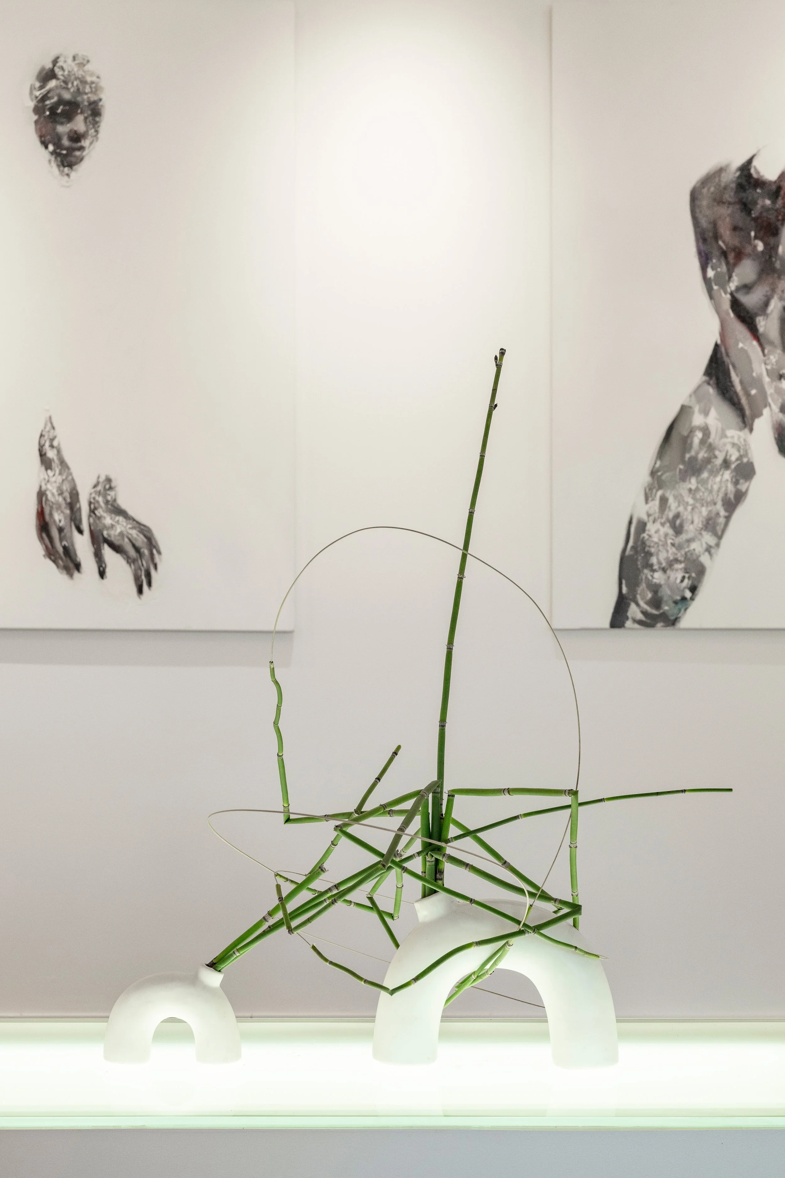 Indoor art installation featuring black and white photographs of human faces and a green plant with tall, thin stalks in white abstract sculptural bases.