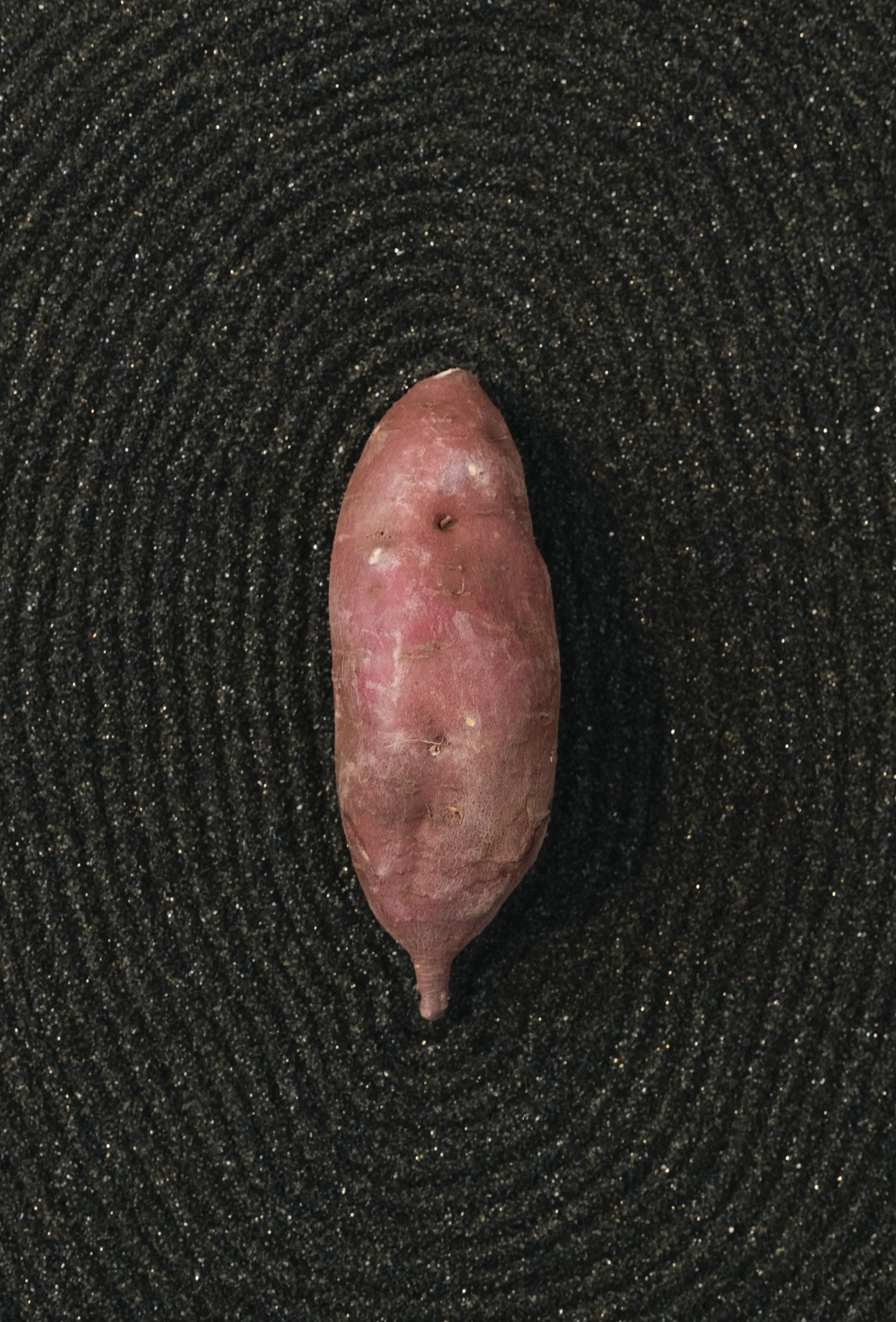 A pink sweet potato placed on black coal slag.