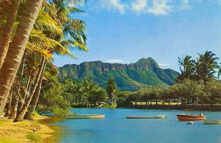 Exotica Mix thumbnail.jpeg