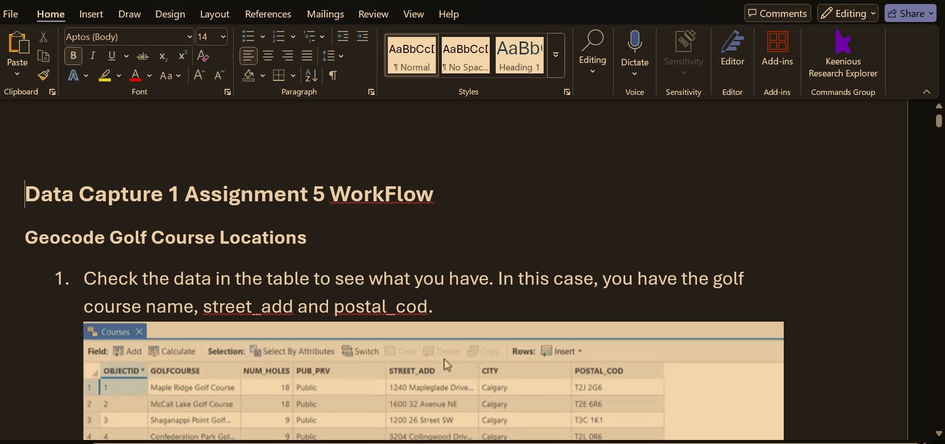 Work Flow Document For GeoCoding and Service Areas