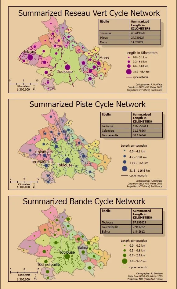 Cycling networks in Paris, data managed by Python code. 