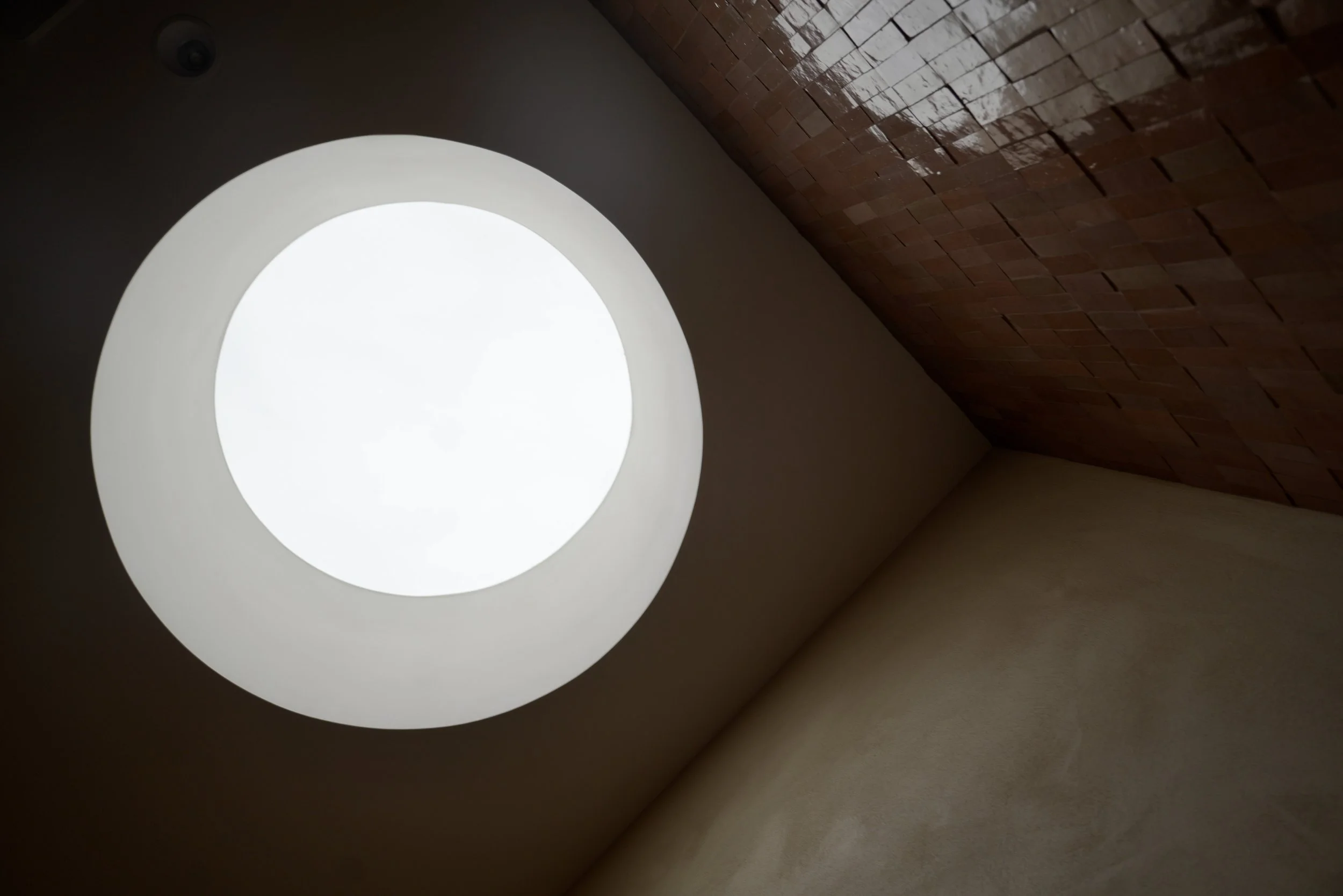 _DSC5214.jpeg