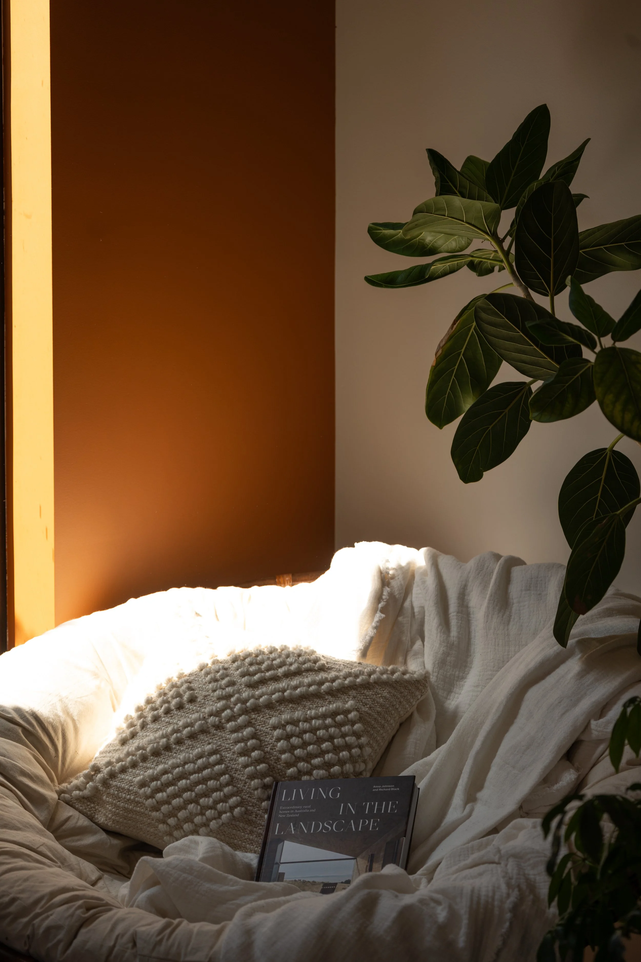 Cozy corner with a textured pillow, a book titled 'Living in the Landscape,' a lush green plant, and warm sunlight.