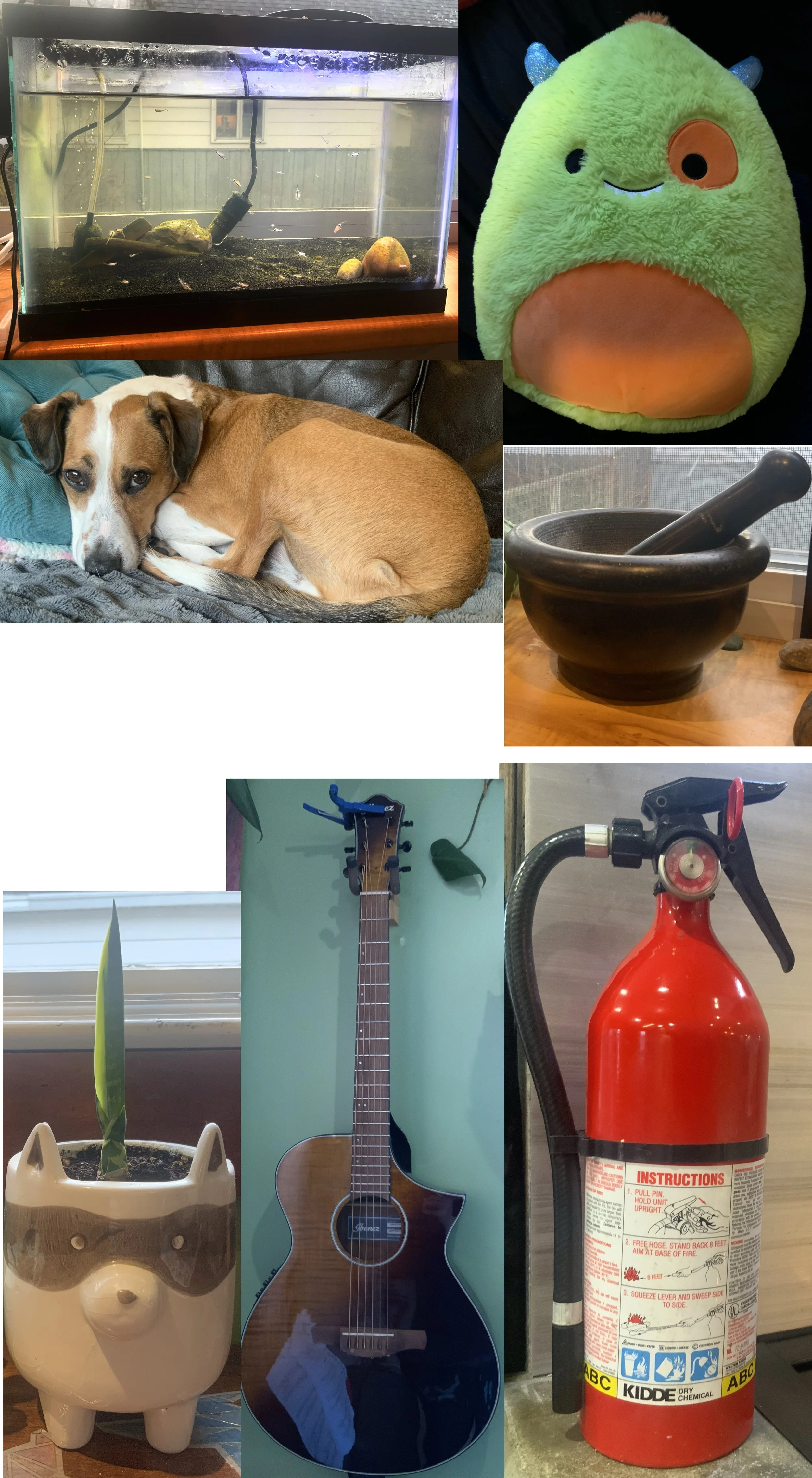 Objects from Around Your House! (Drawing)