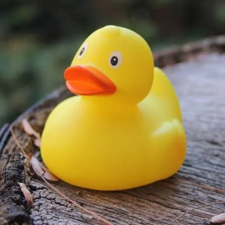 Rubber duck.jpg