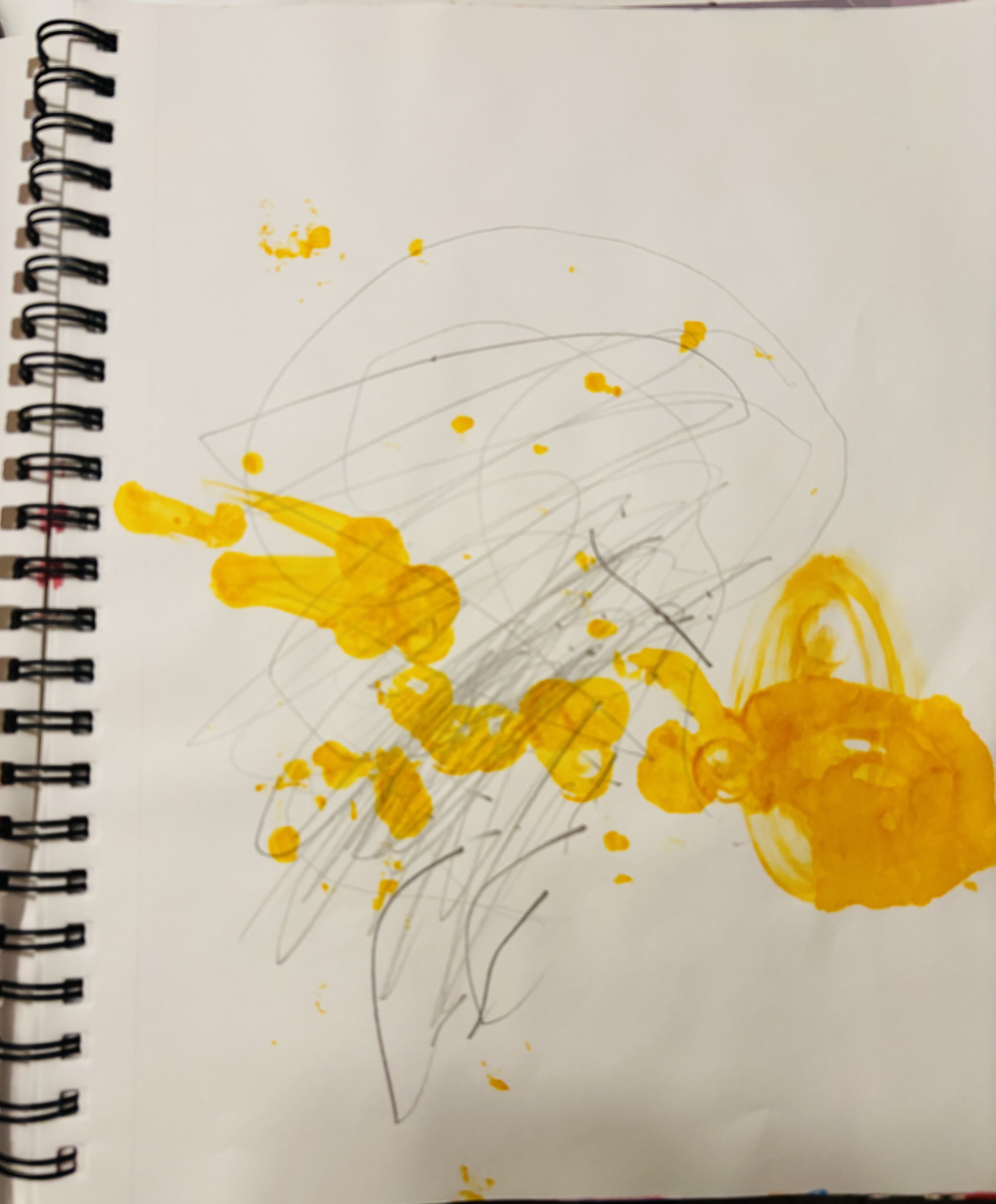 IMG_7426.jpeg