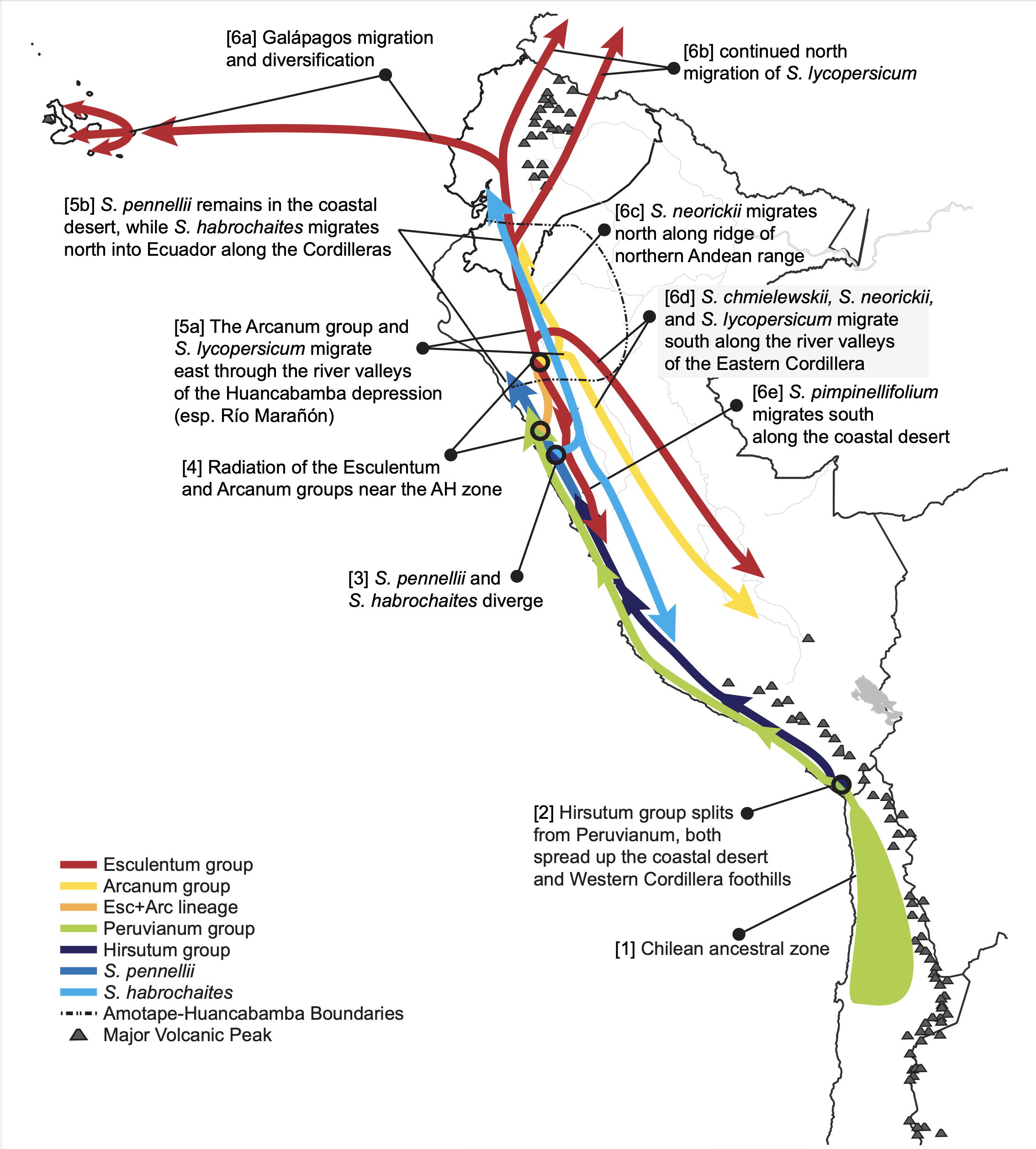 Pease et al. (2016).  Phylogenomics Reveals Three Sources of Adaptive Variation During a Rapid Radiation. PLOS Biology Journal.
