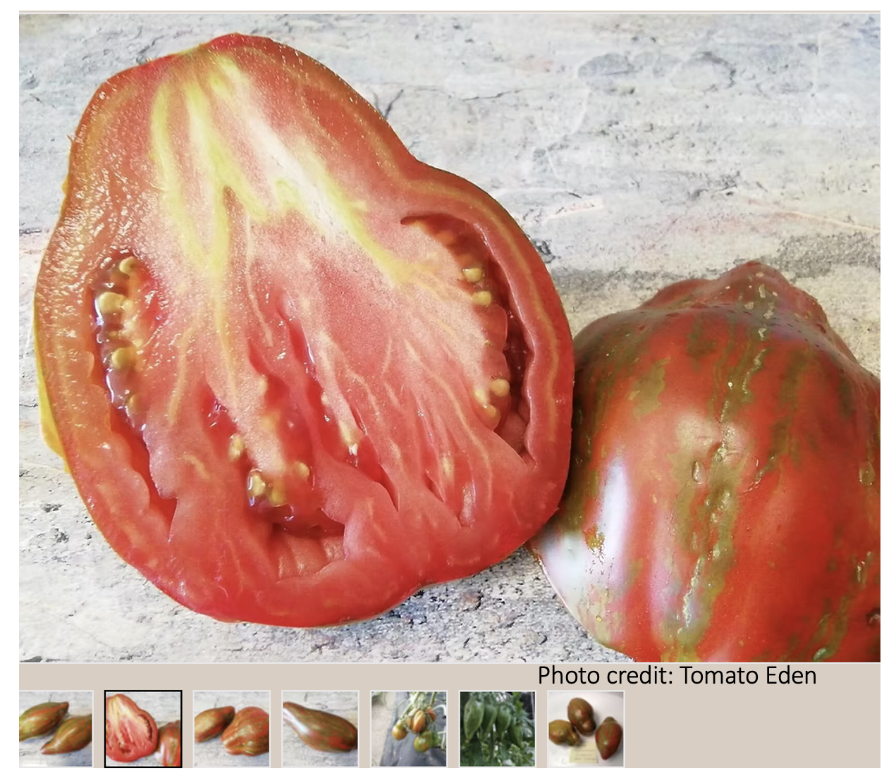 Which one is the real “Cuban Salami”?