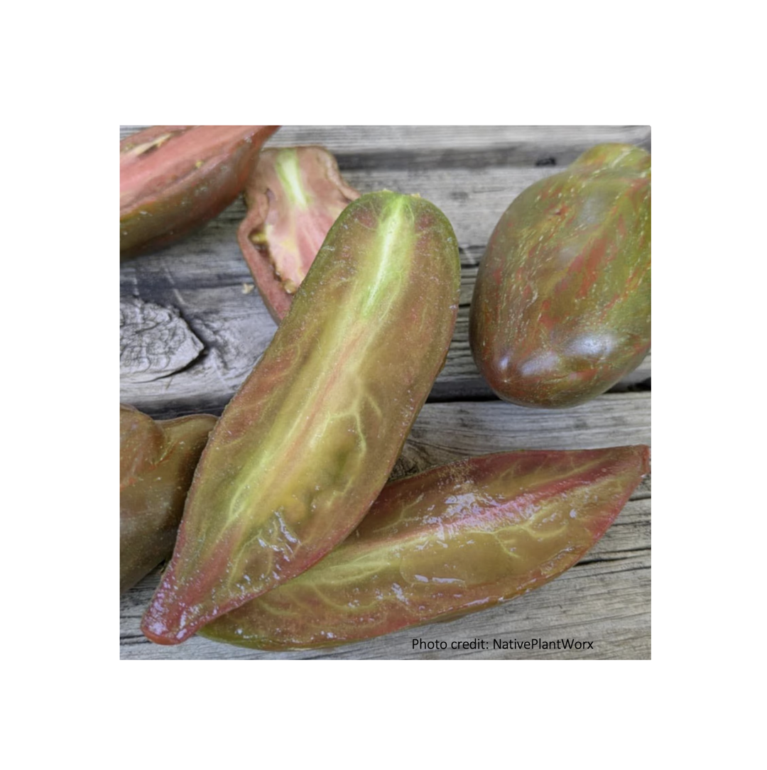 Besides adapting varieties to your taste and climate, saving your own seeds also ensures that you keep growing the exact variety you want, as long as you keep careful records yourself!