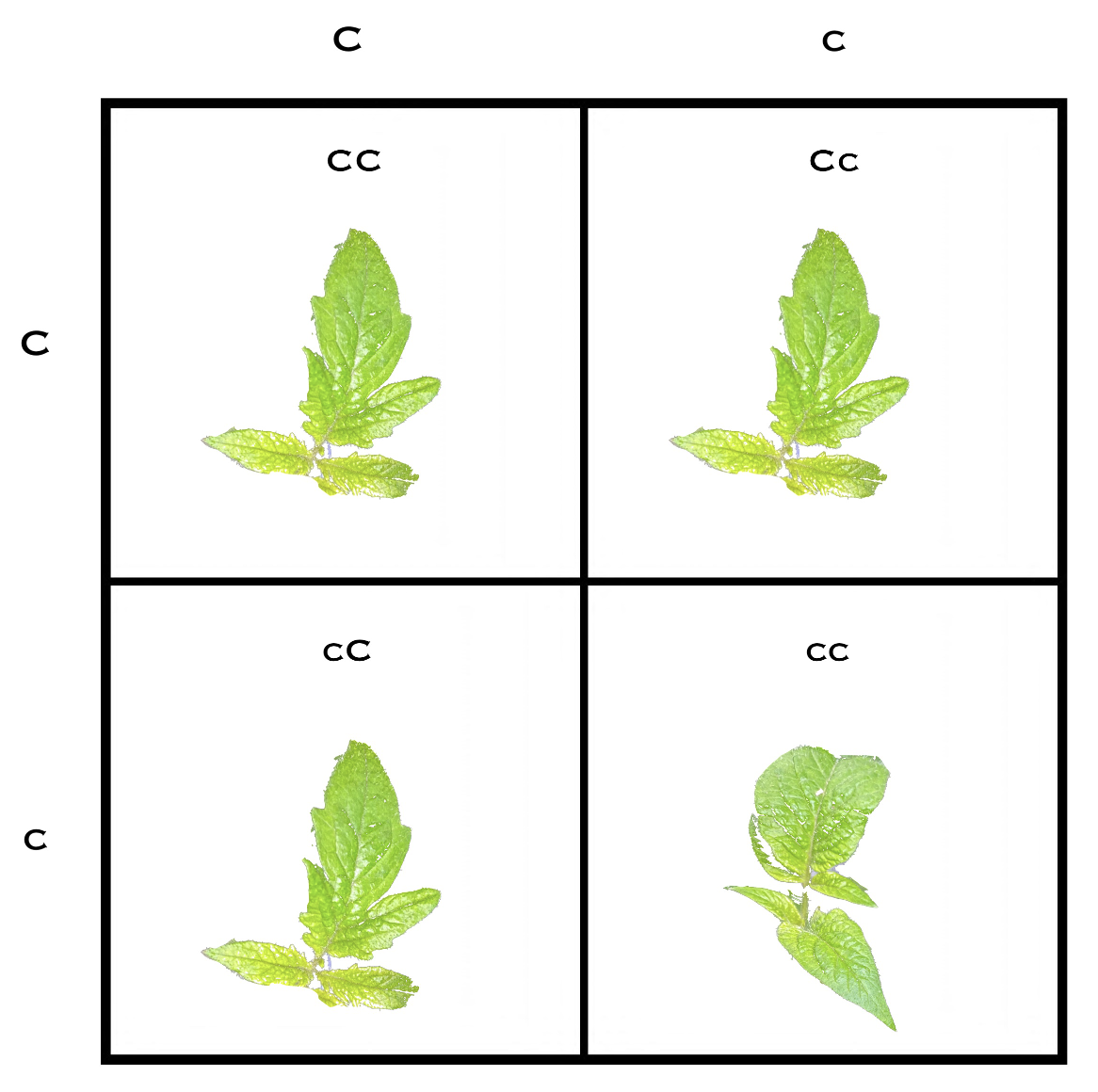 Screenshot 2026-03-13 at 9.27.41 PM.png