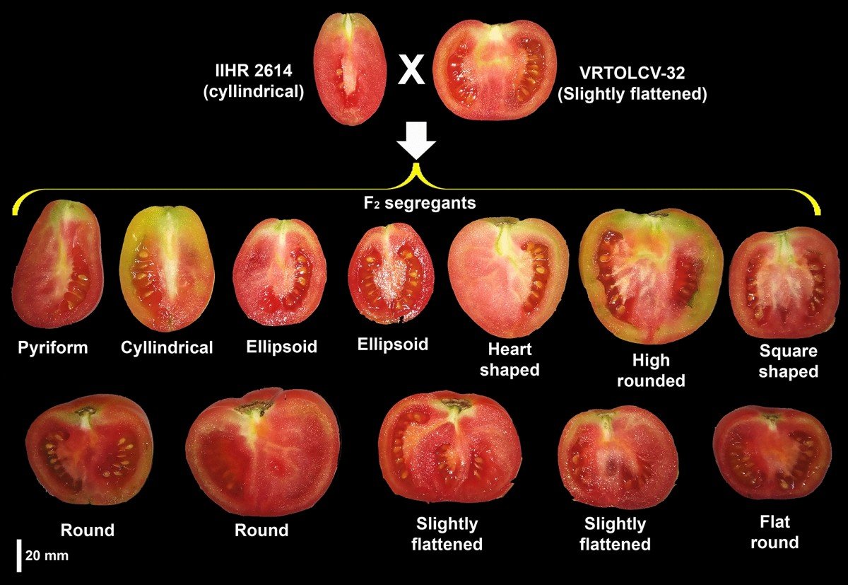 Fig 3.JPG